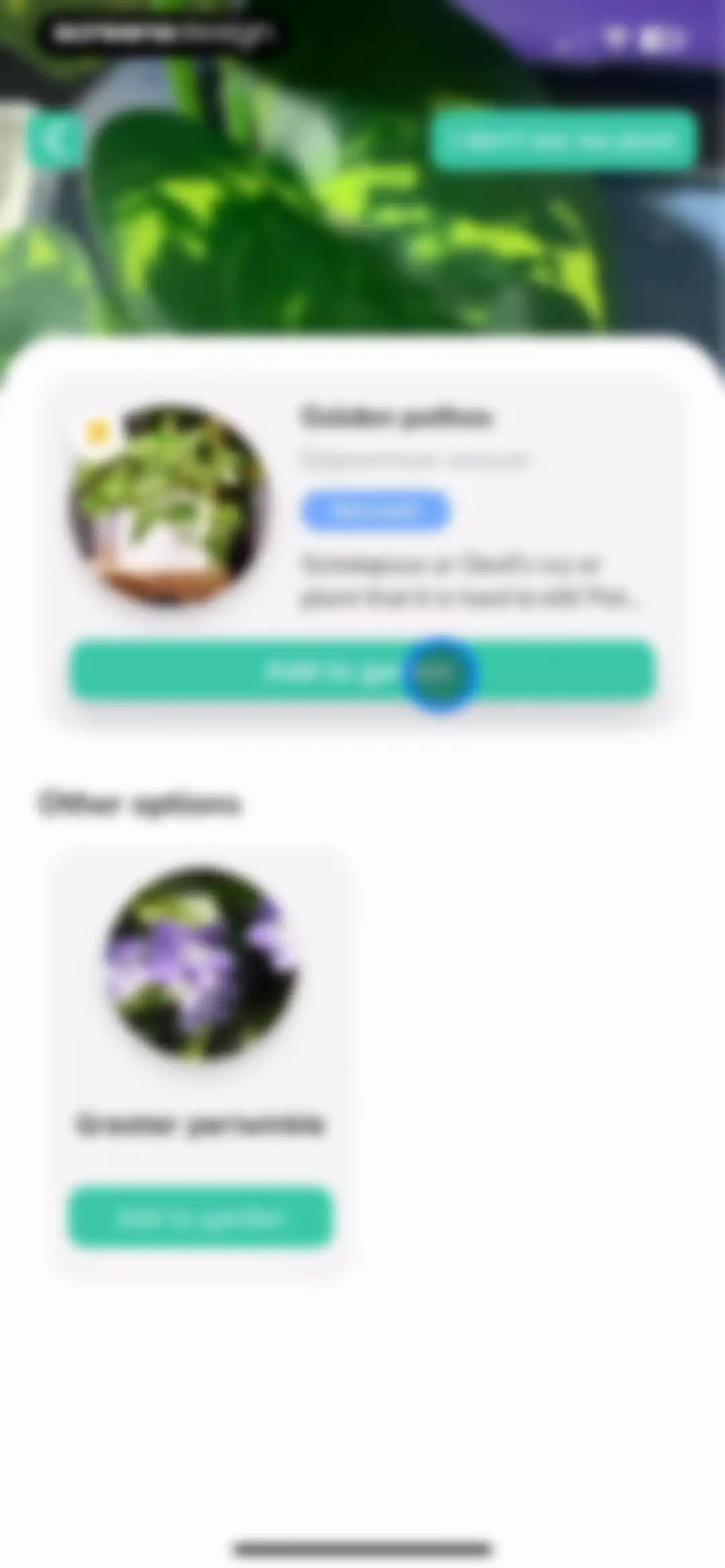 Plant Identifier - PlantMe screen 15