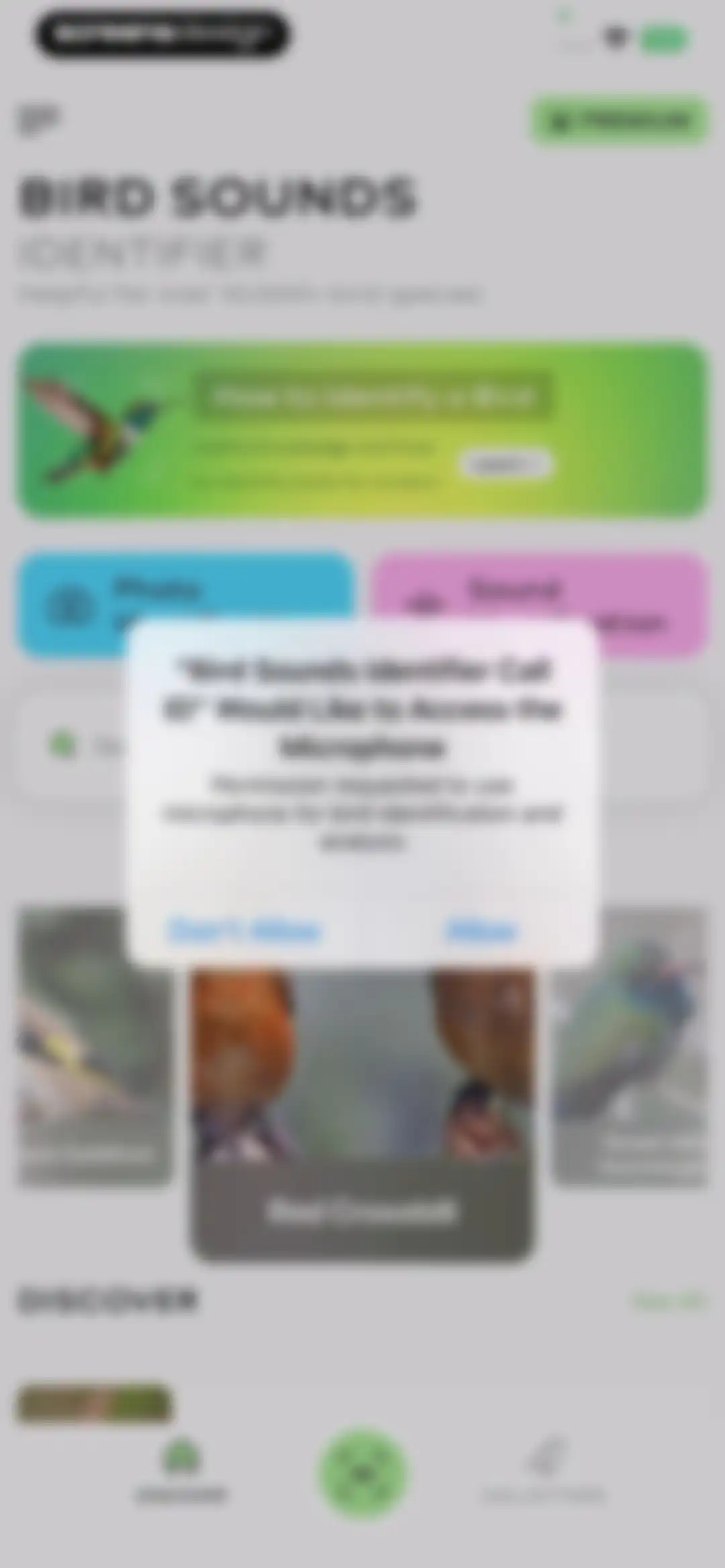 Bird Sounds Identifier Call ID screen 11