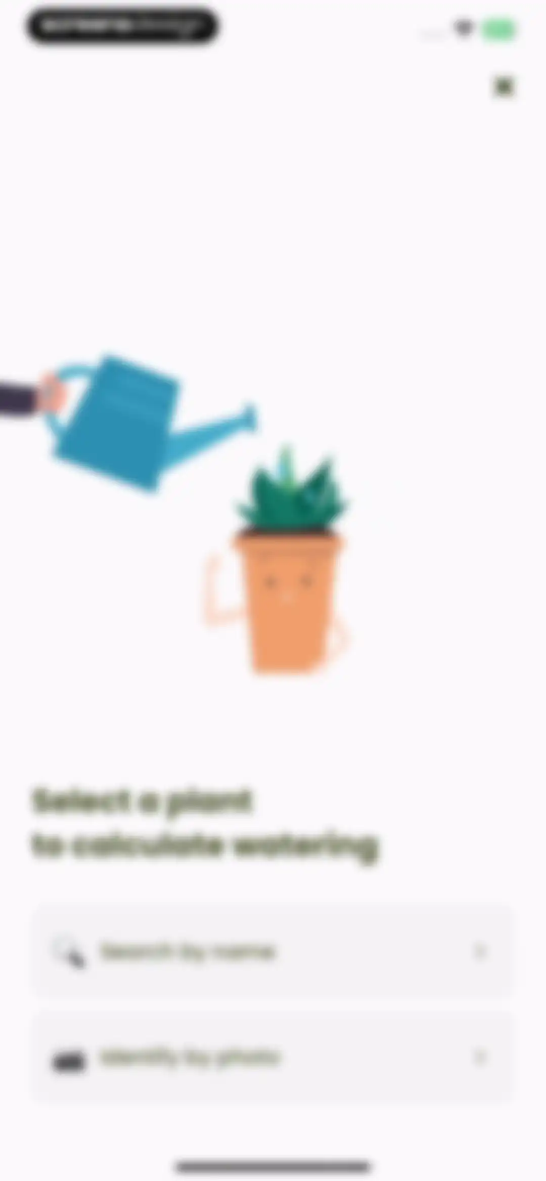 Plant Identifier & Care: Ficus screen 81