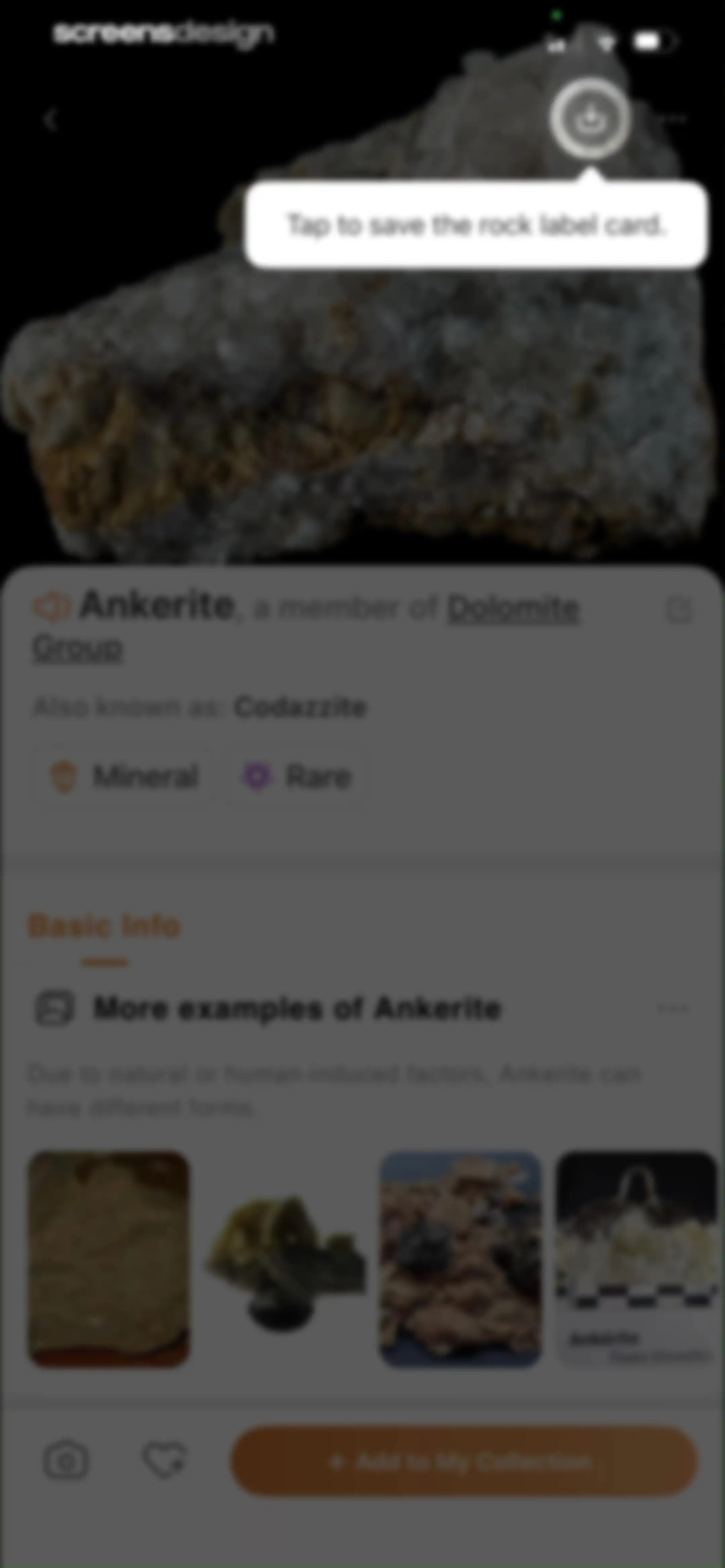 Rock Identifier: Stone ID screen 47