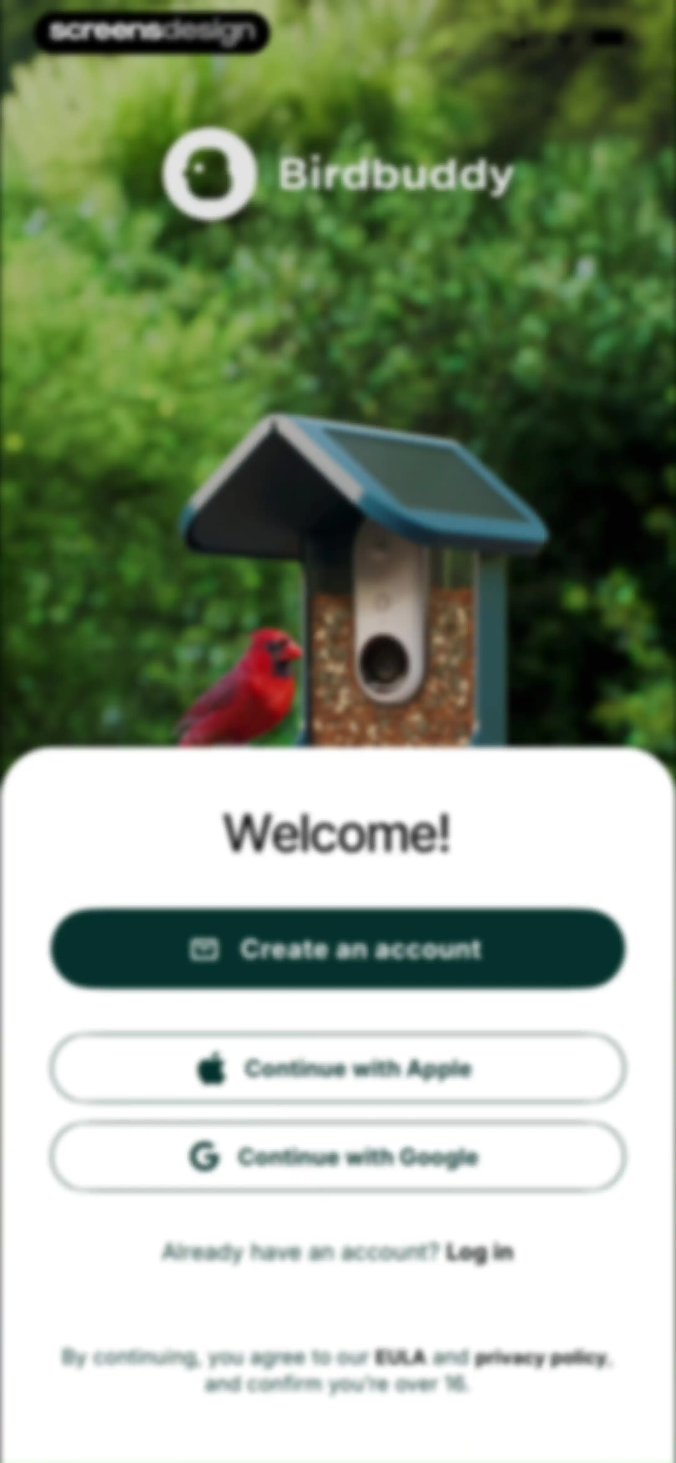 Birdbuddy: ID & Collect Birds screen 4