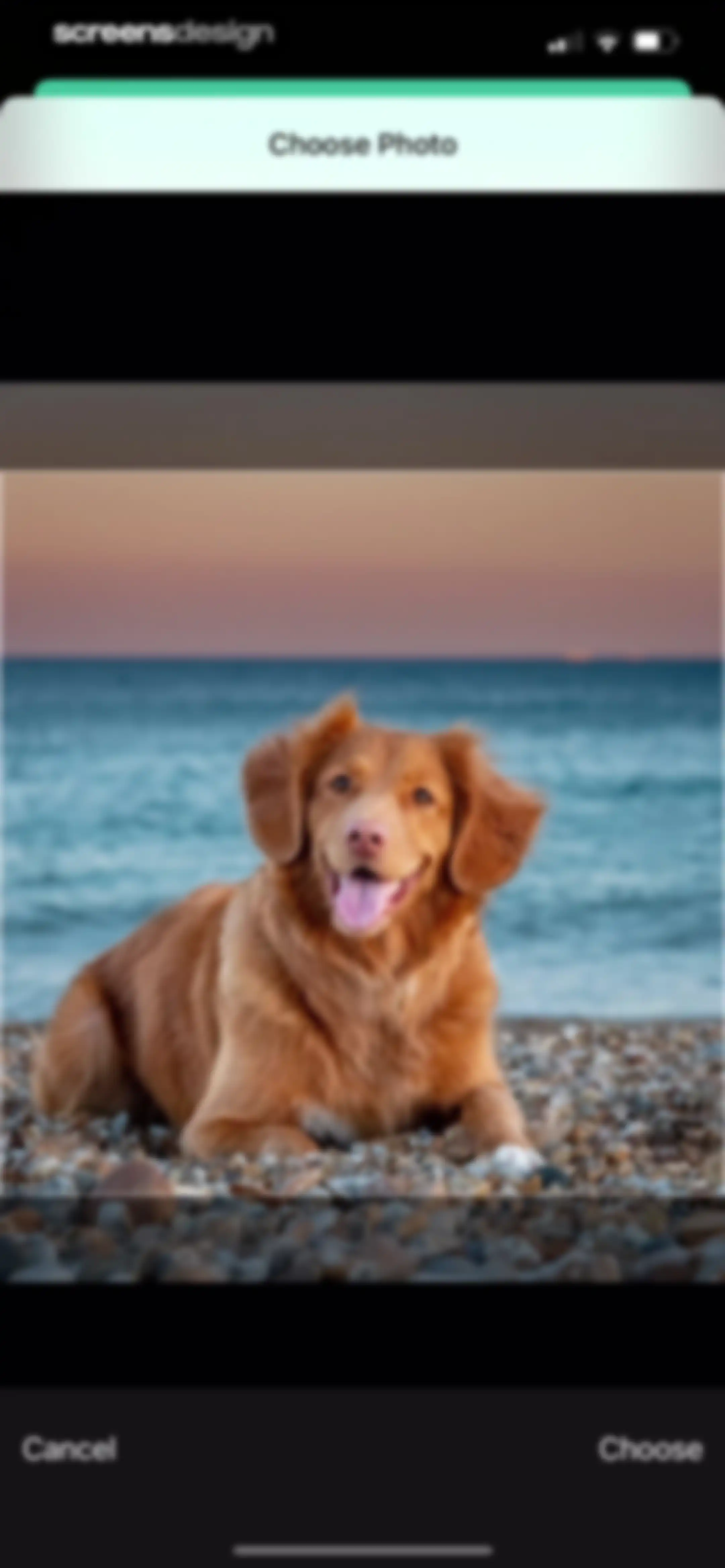 Color Widgets screen 20