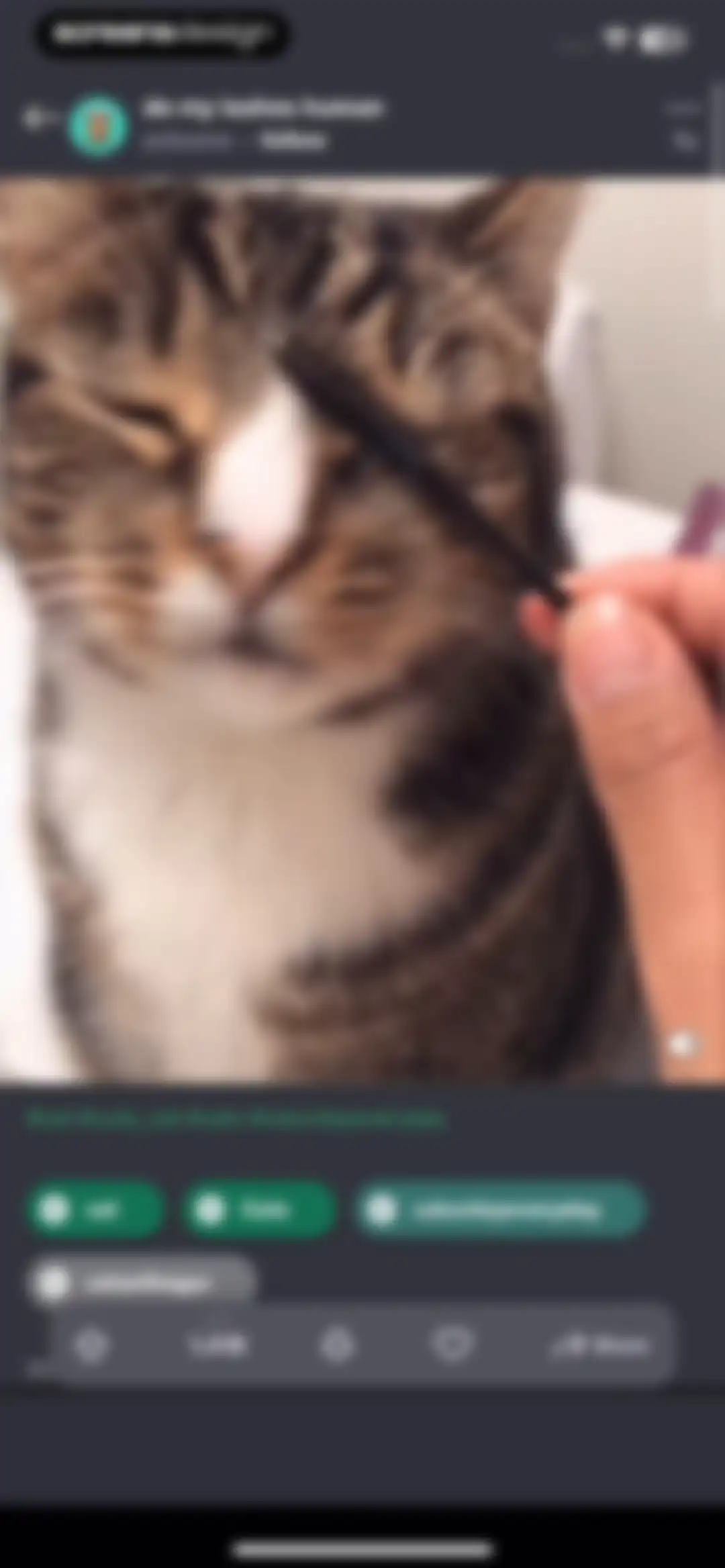Imgur: Funny Memes & GIF Maker screen 78
