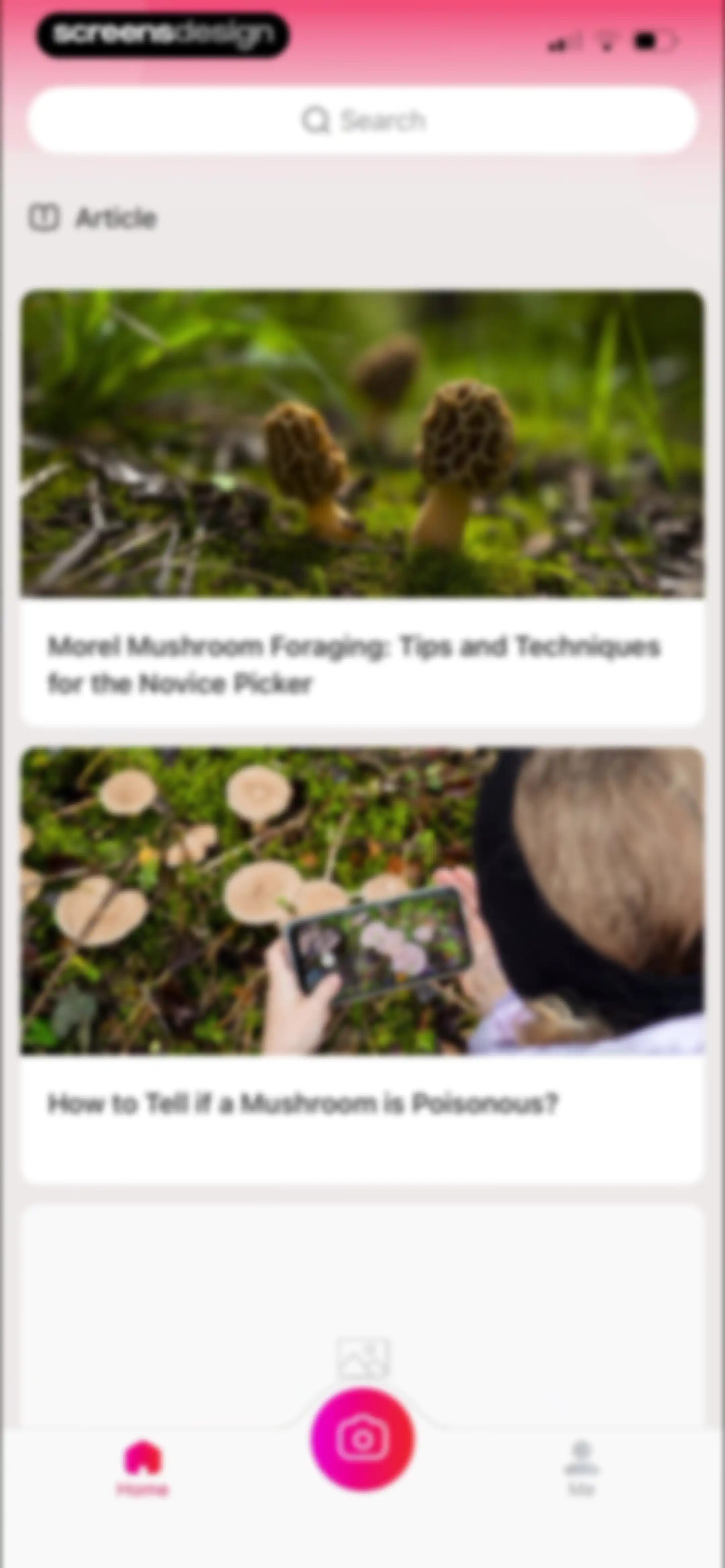 Picture Mushroom: Identifier screen 89