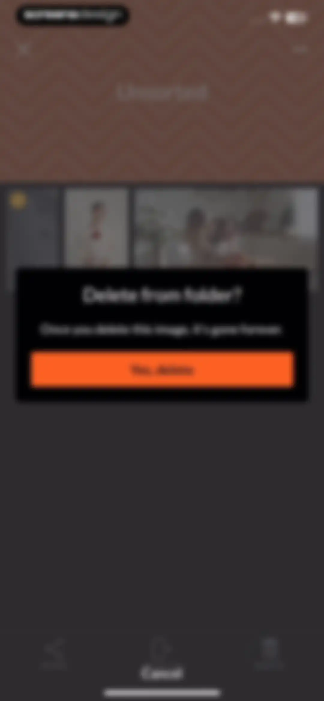 PicMonkey Photo + Video Design screen 98