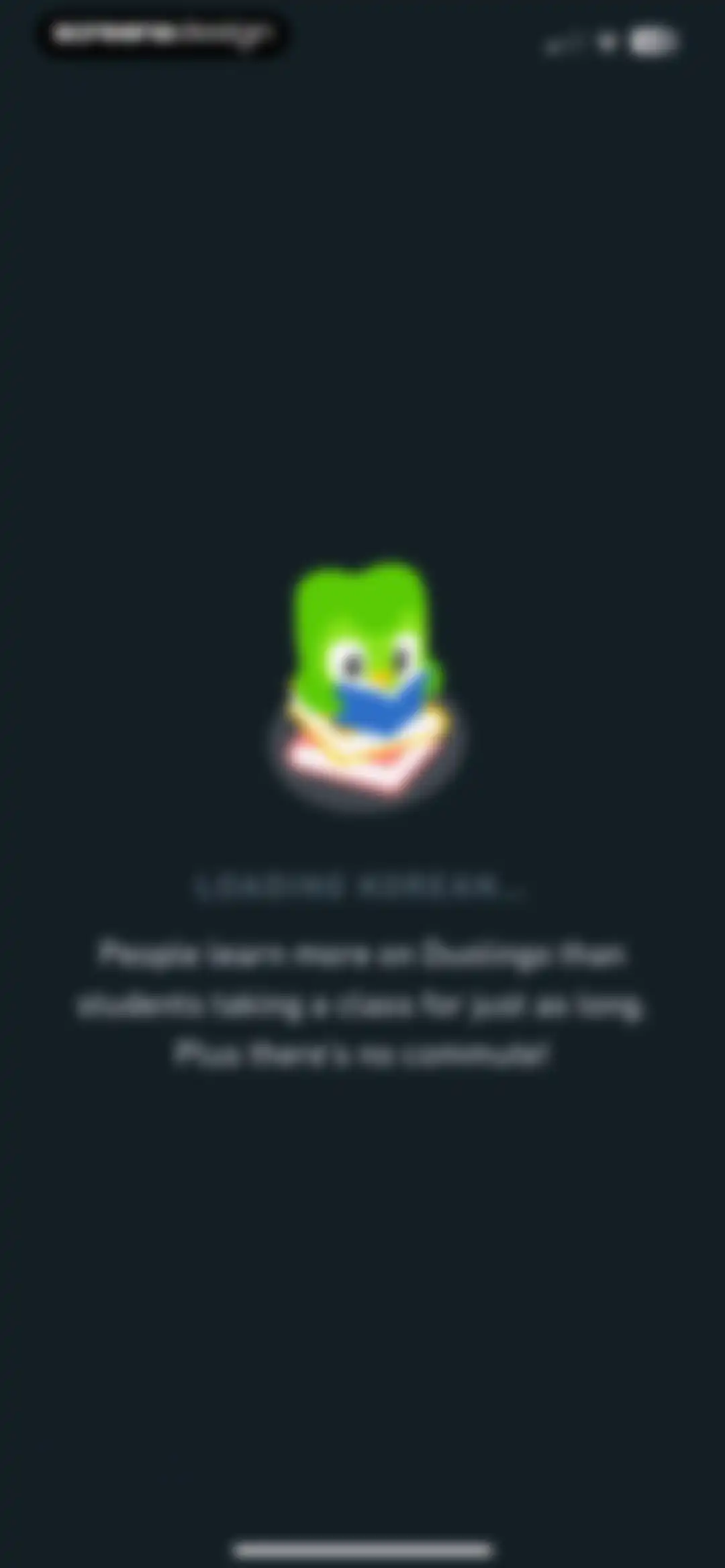 Duolingo: Language Lessons screen 114