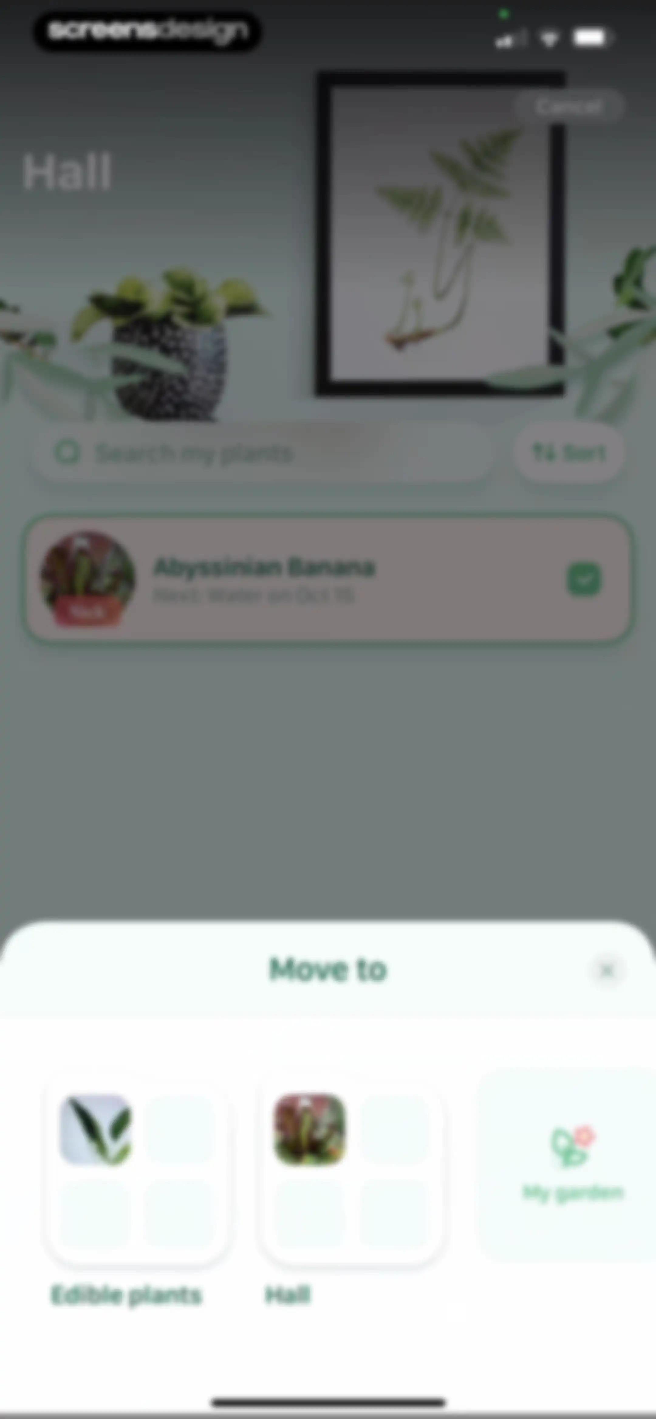 Blossom - Plant Care Guide screen 134