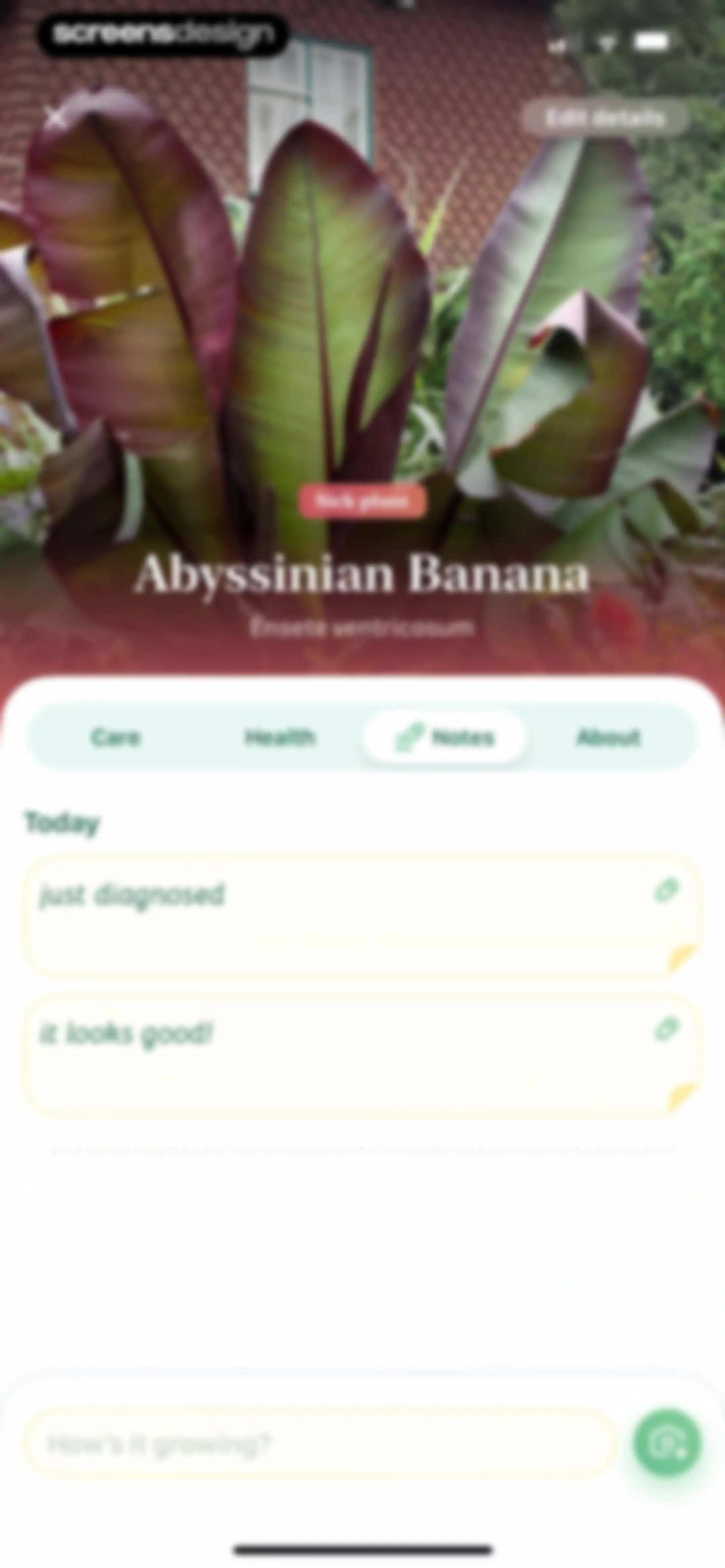 Blossom - Plant Care Guide screen 85