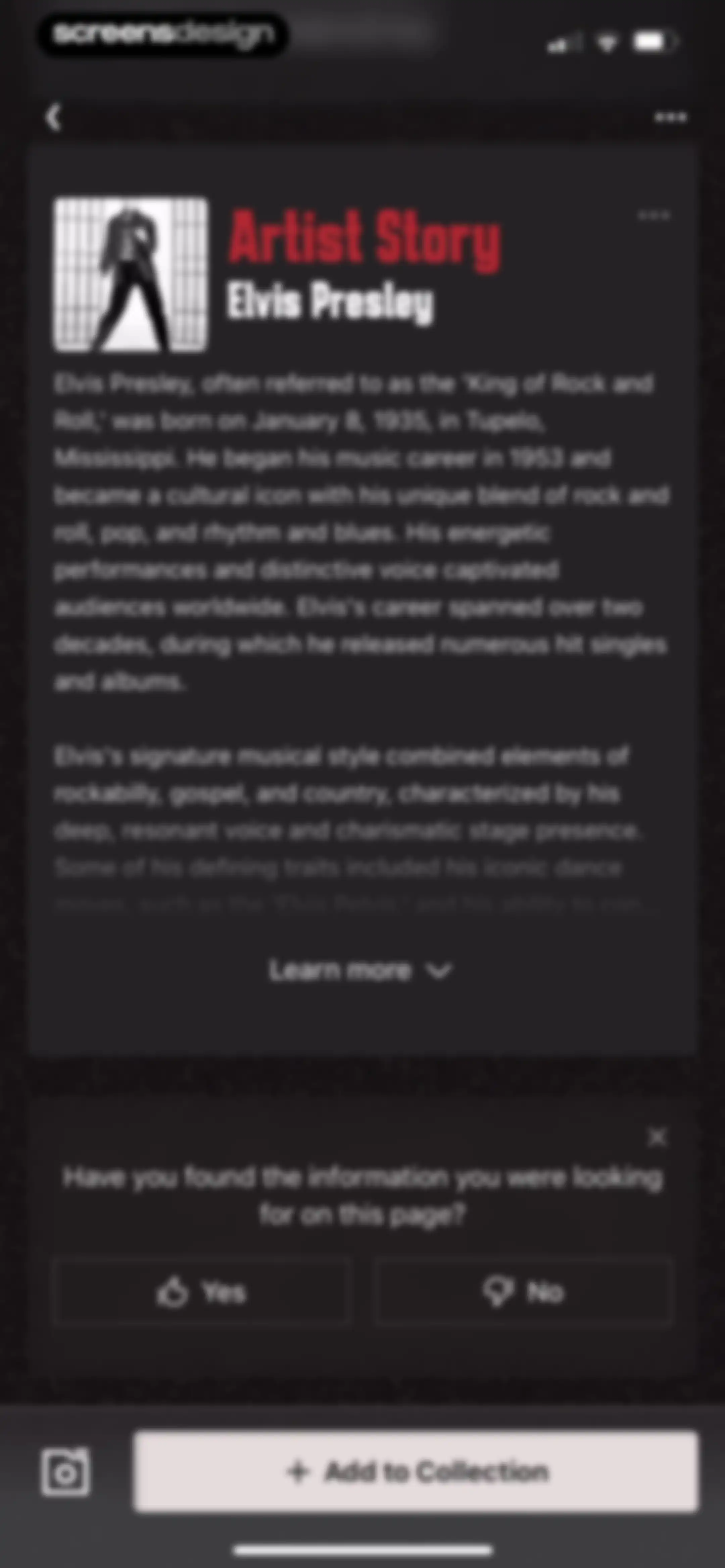 VinylSnap: Scan & Value Record screen 29