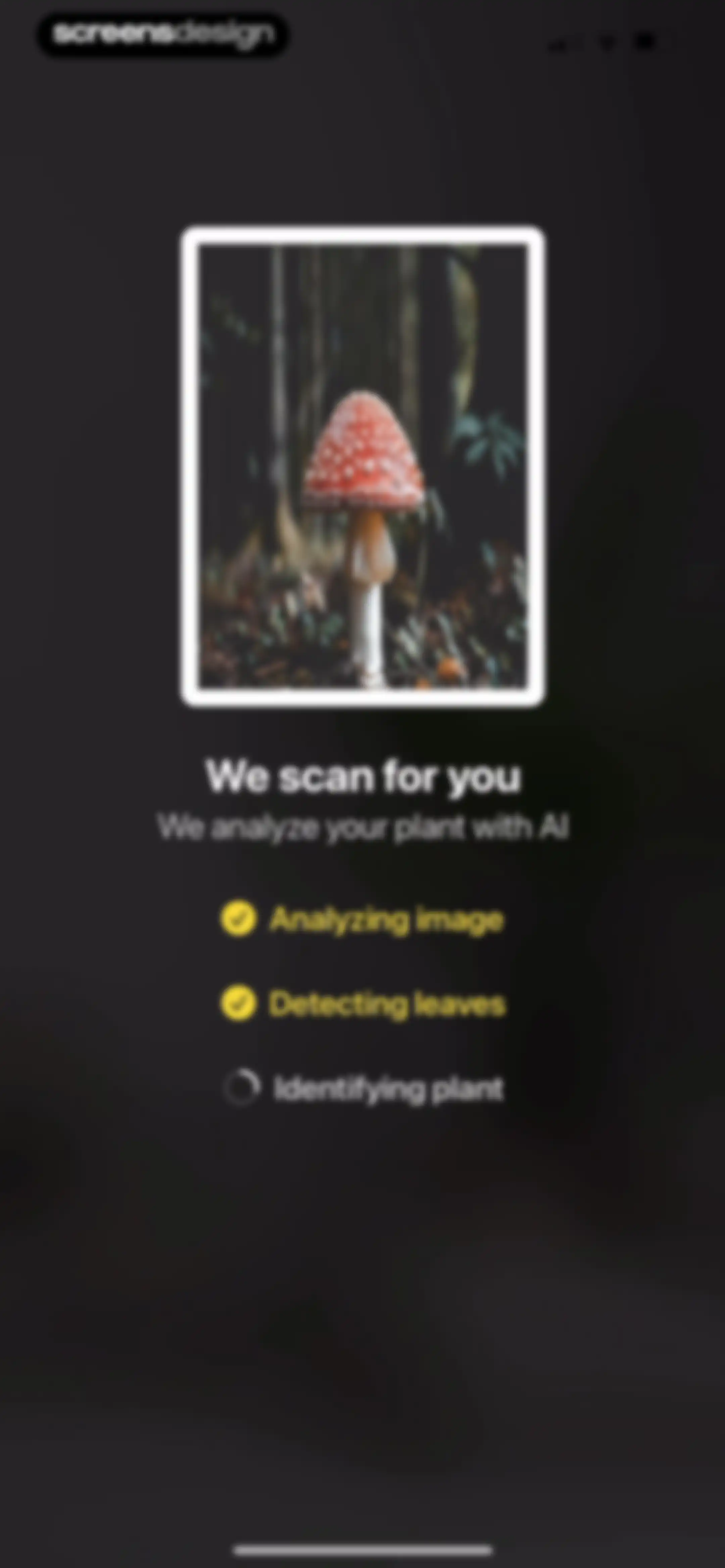 Plant App: Plant Identifier screen 135