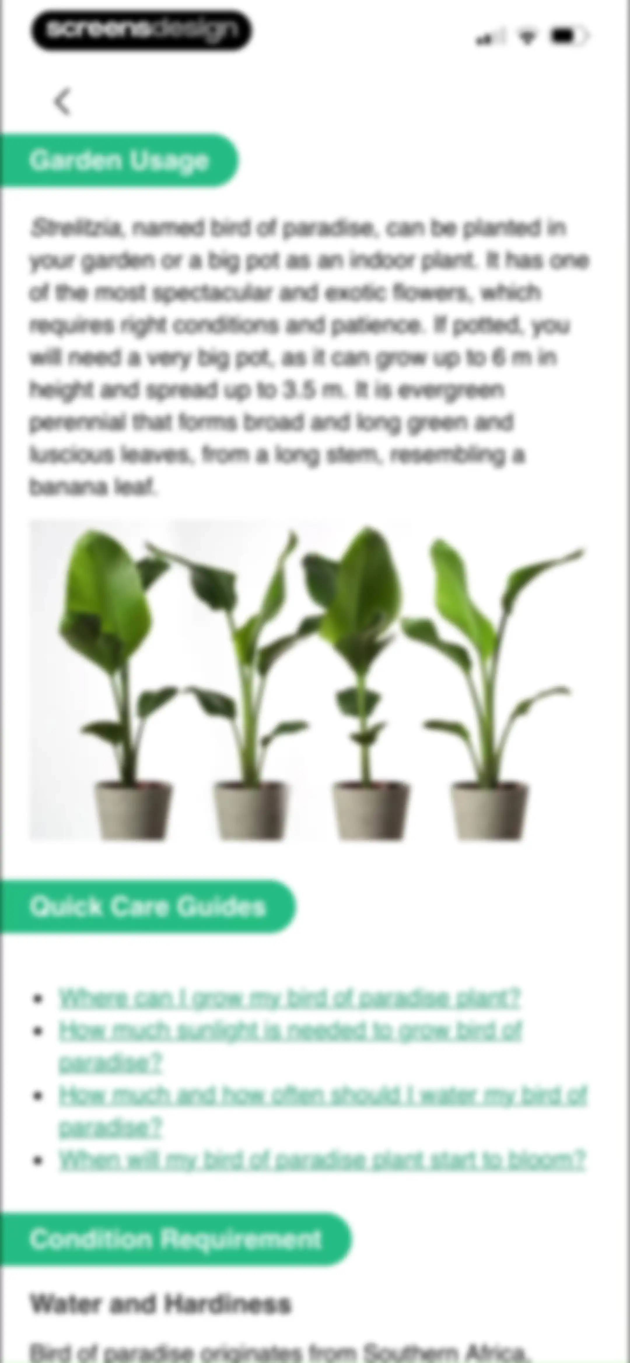 PlantAI: Identifier & Diagnose screen 28