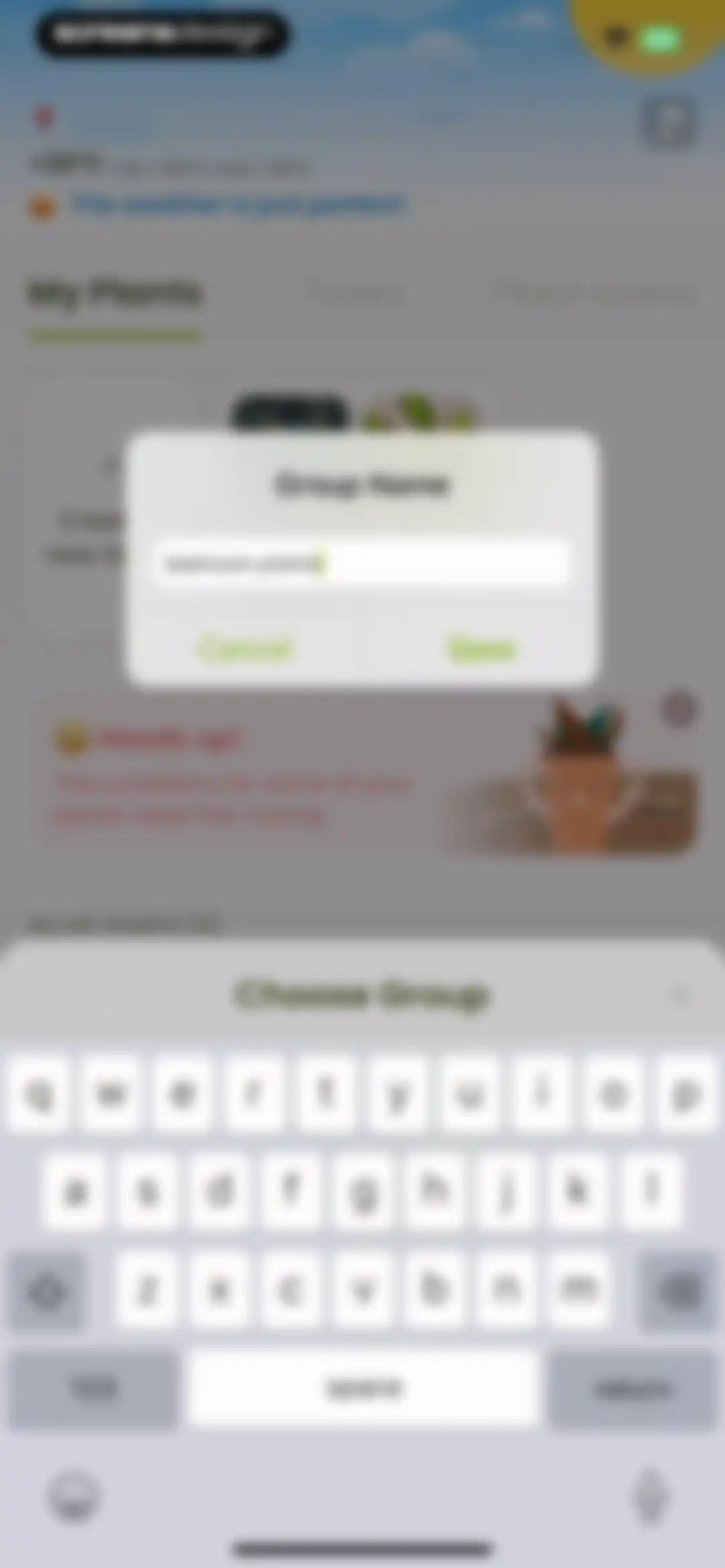 Plant Identifier & Care: Ficus screen 124