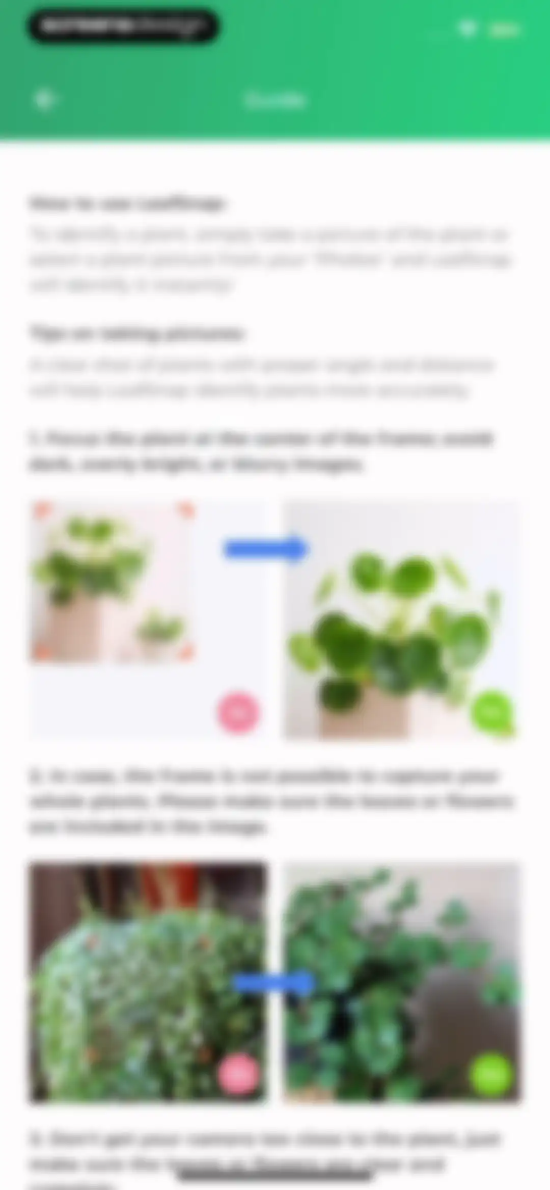 Plant Identifier: LeafSnap screen 85