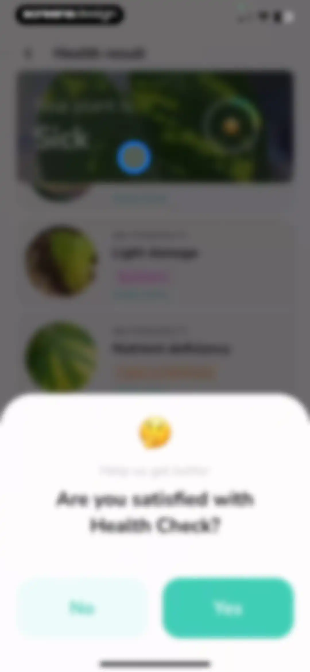 Plant Identifier - PlantMe screen 50