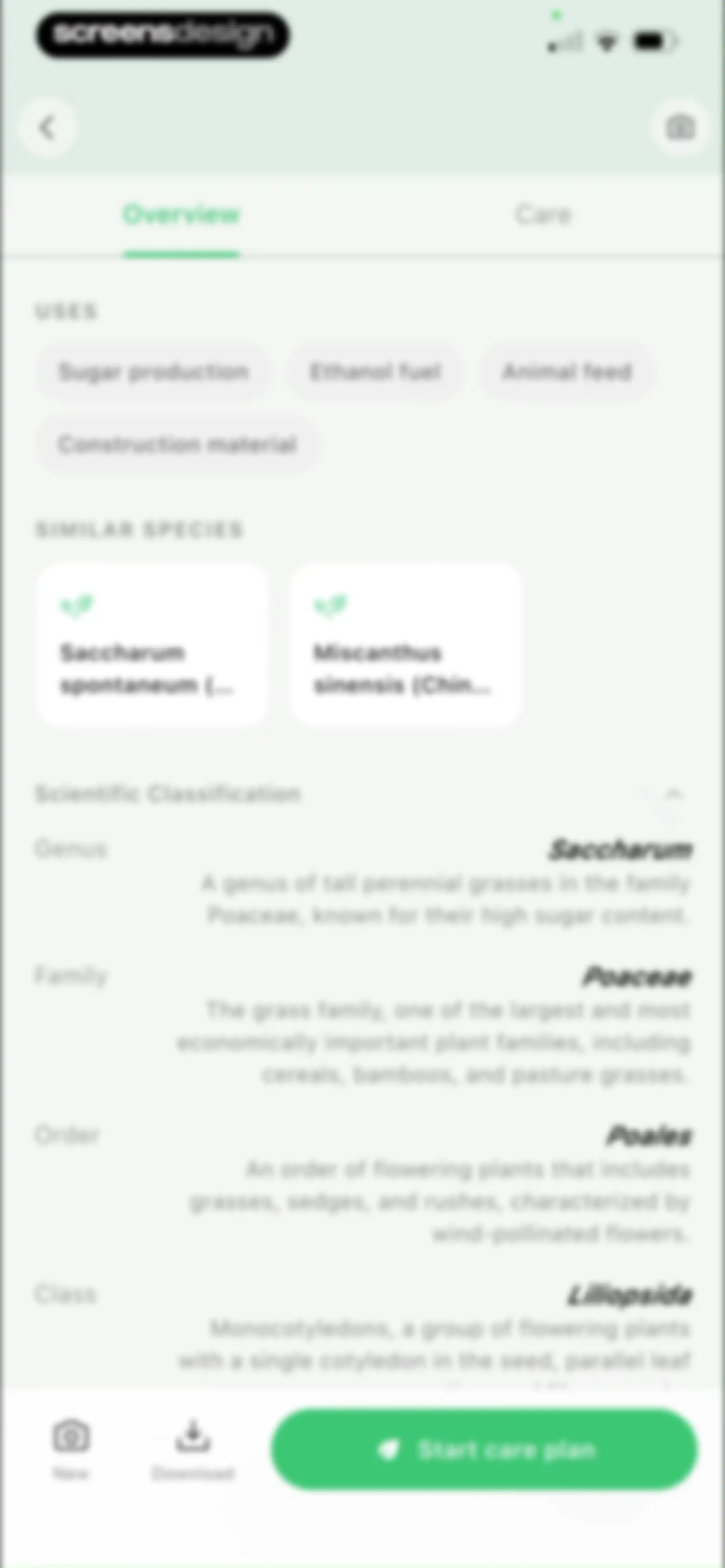 Grass Identifier: AI Scan screen 26
