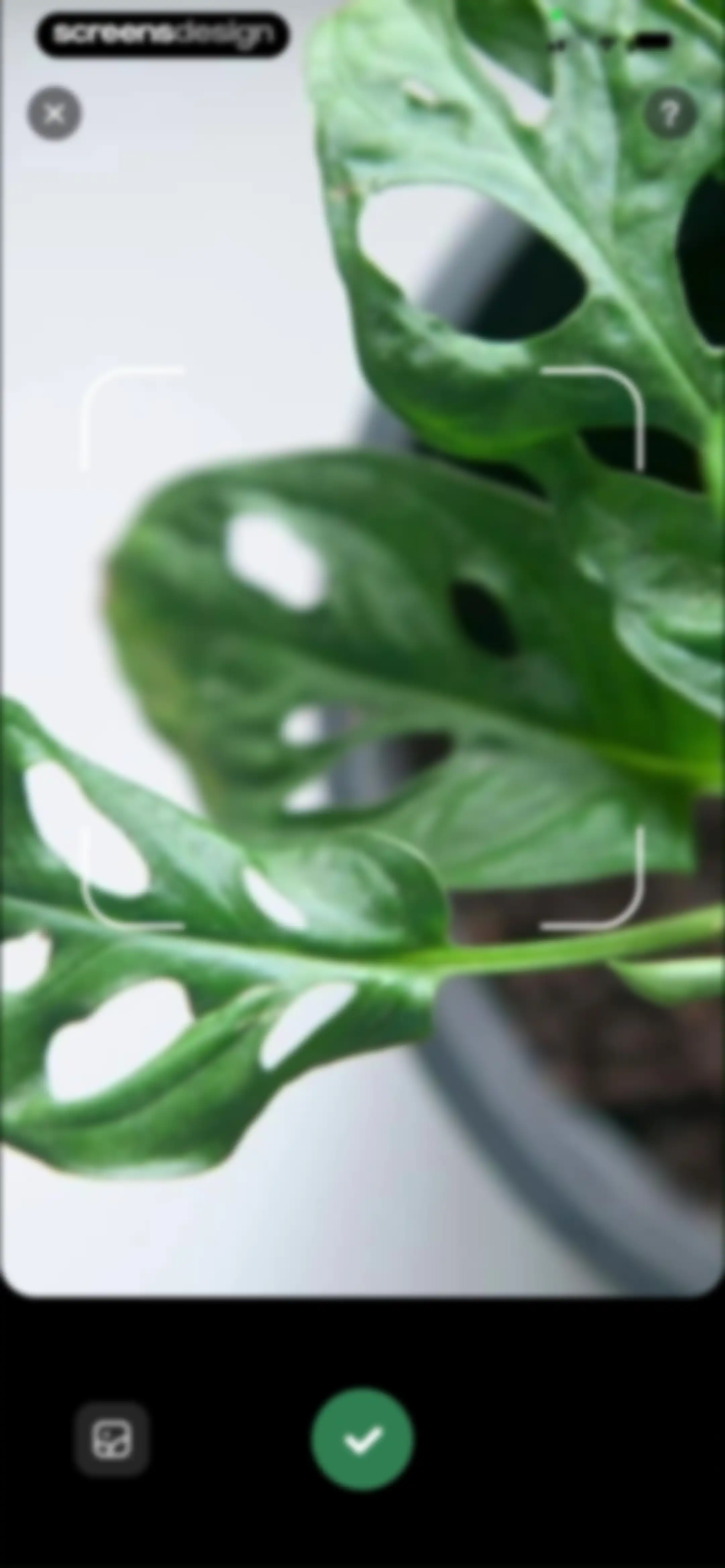 PlantLush: Plant ID & Care Pro screen 43