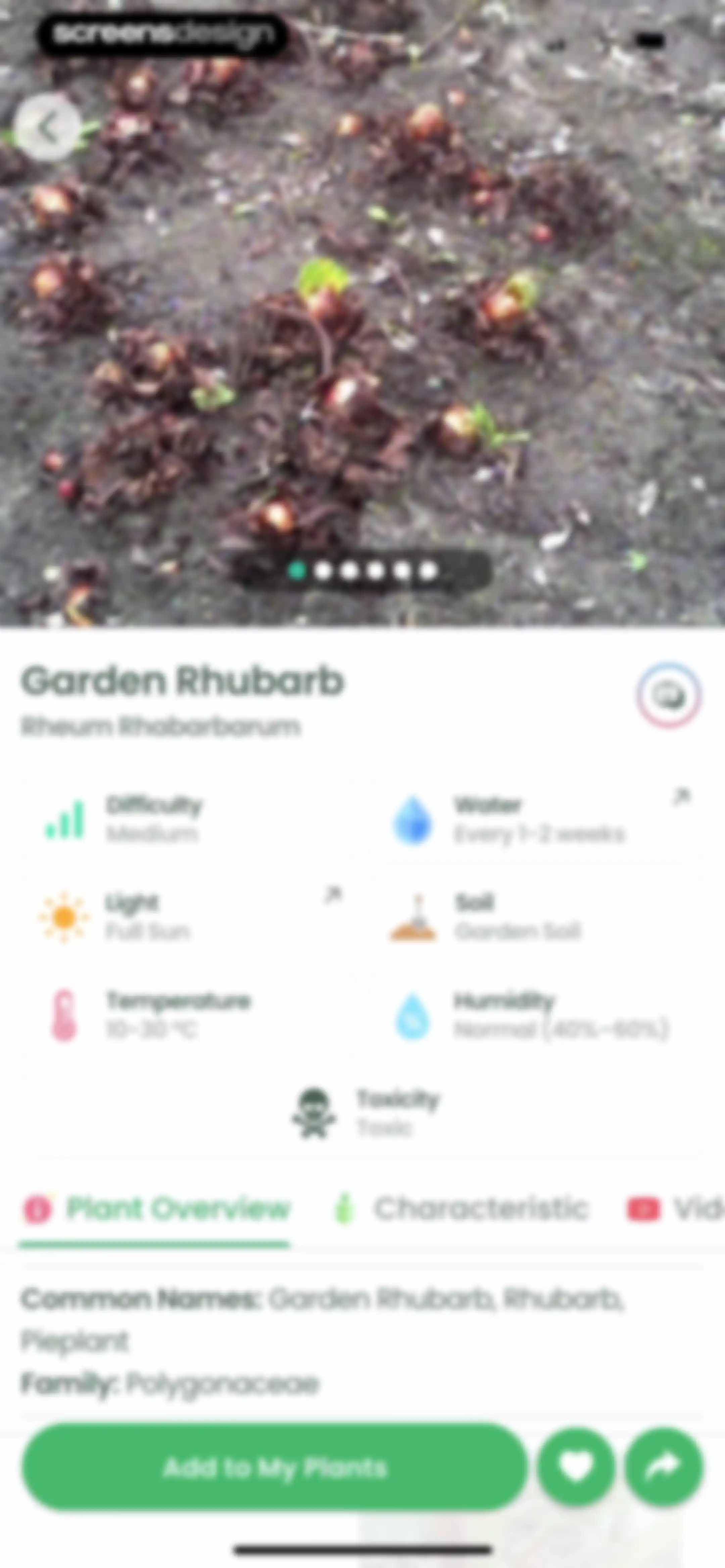 Plant Identifier: Plantiary screen 128
