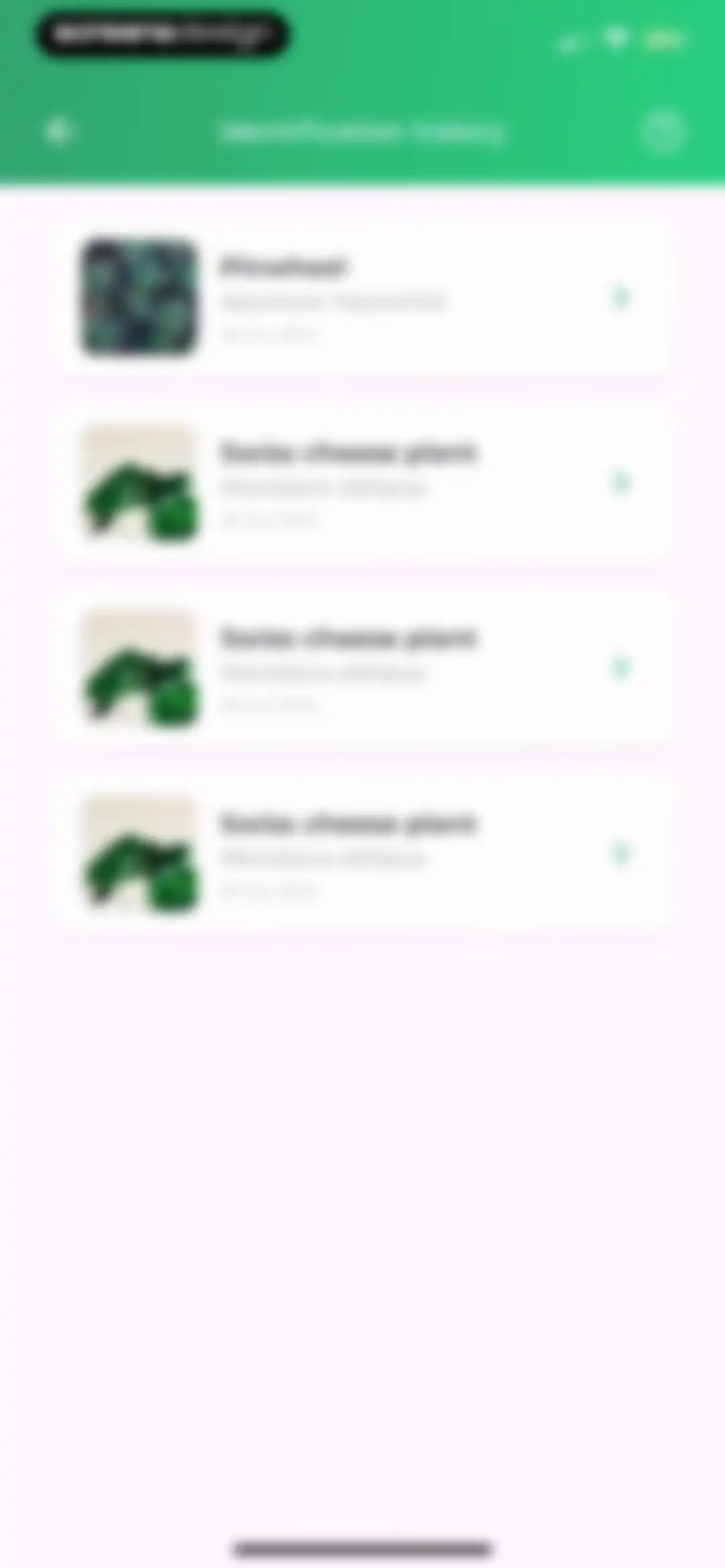Plant Identifier: LeafSnap screen 64