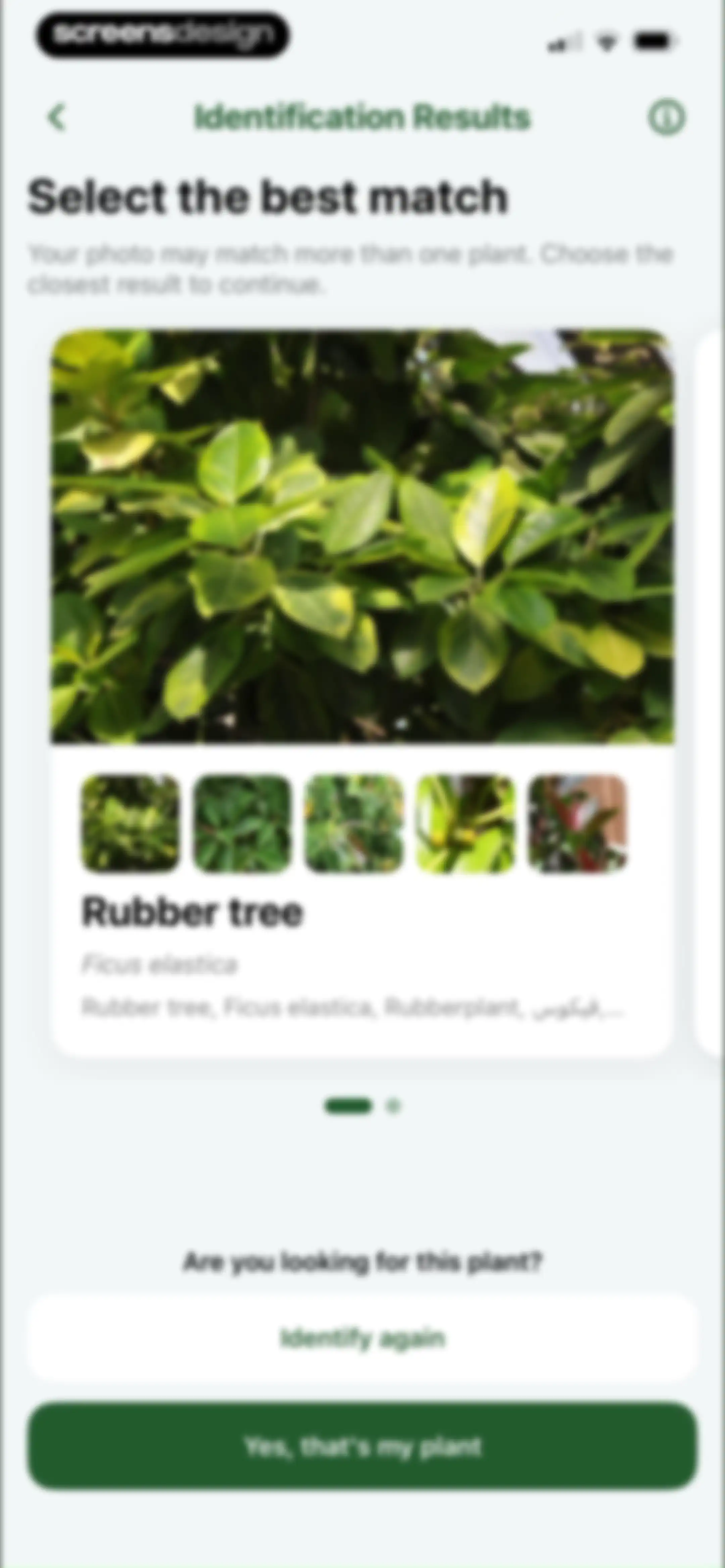 FloraSnap: Plant Scanner screen 33