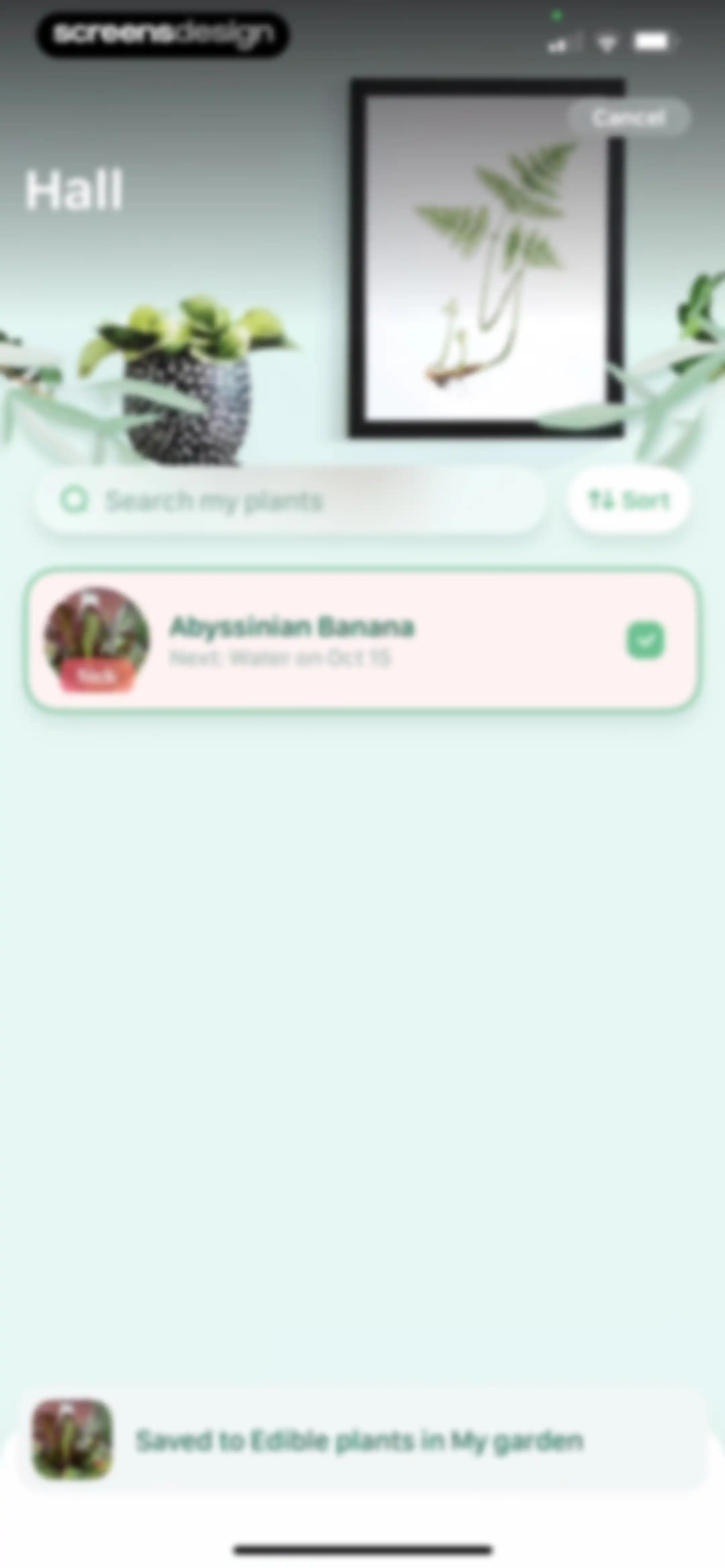 Blossom - Plant Care Guide screen 135
