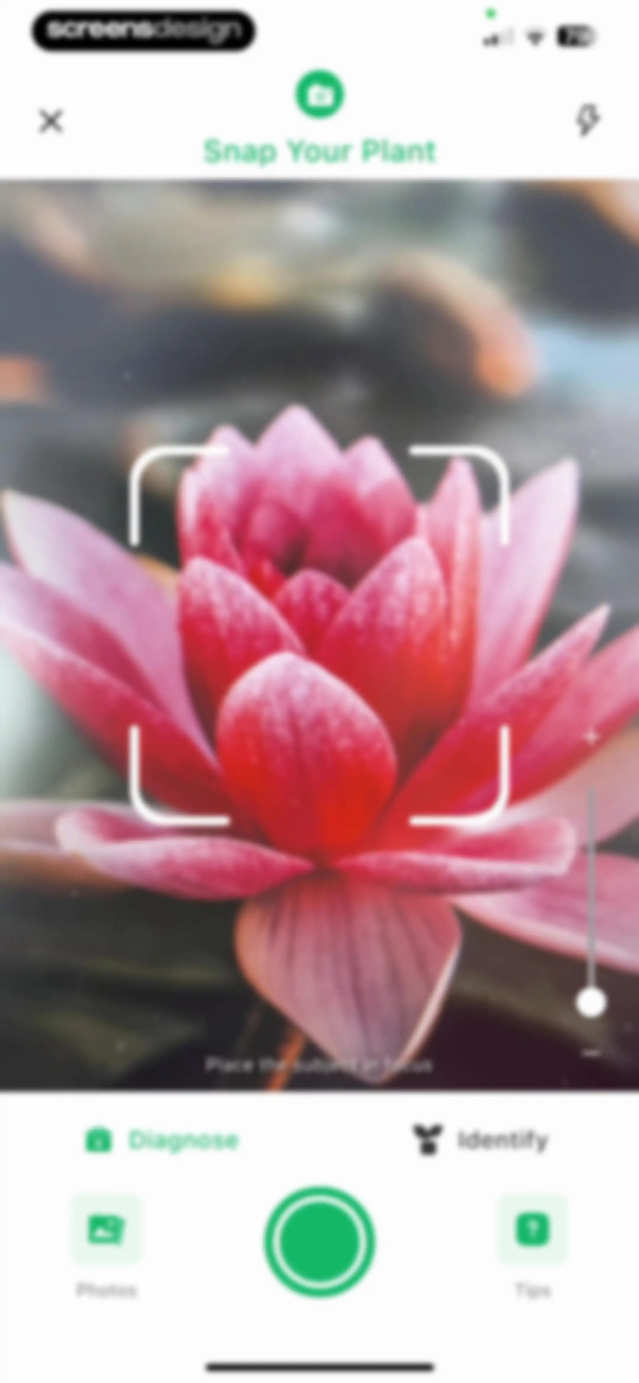 Plant Identifier: ChatPlant AI screen 25
