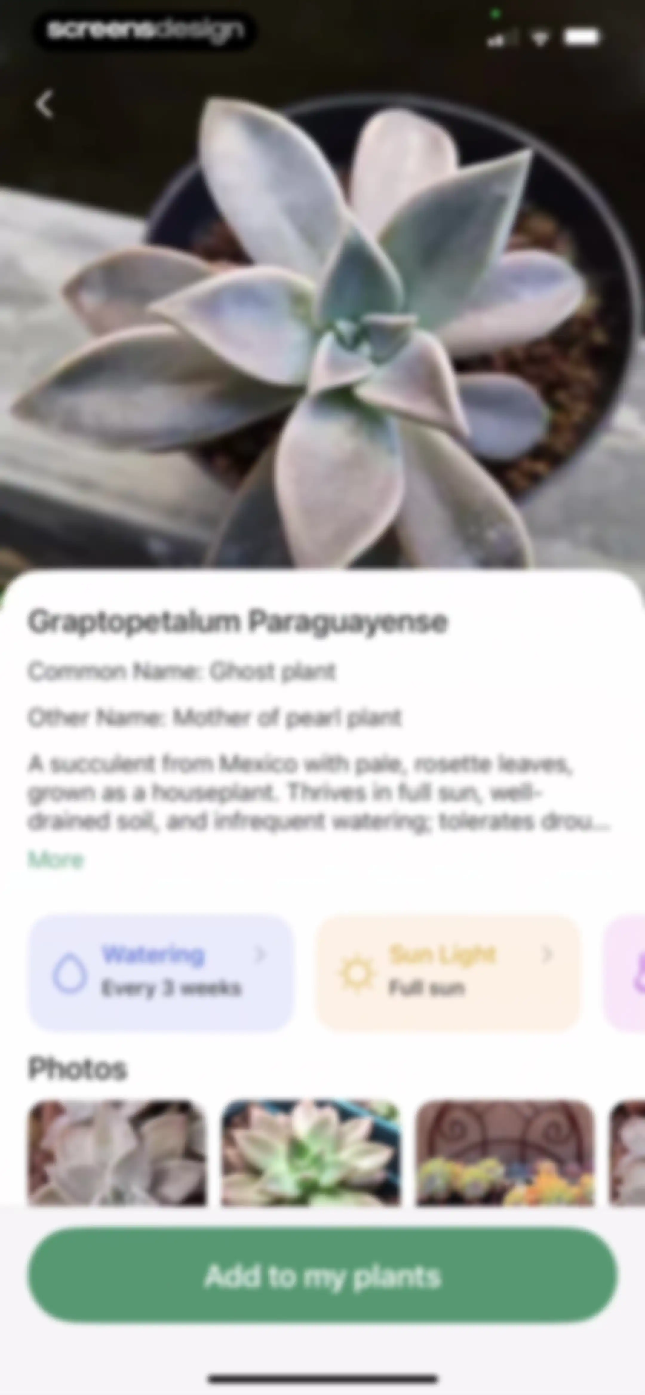 Verde Finder : identify plants screen 63