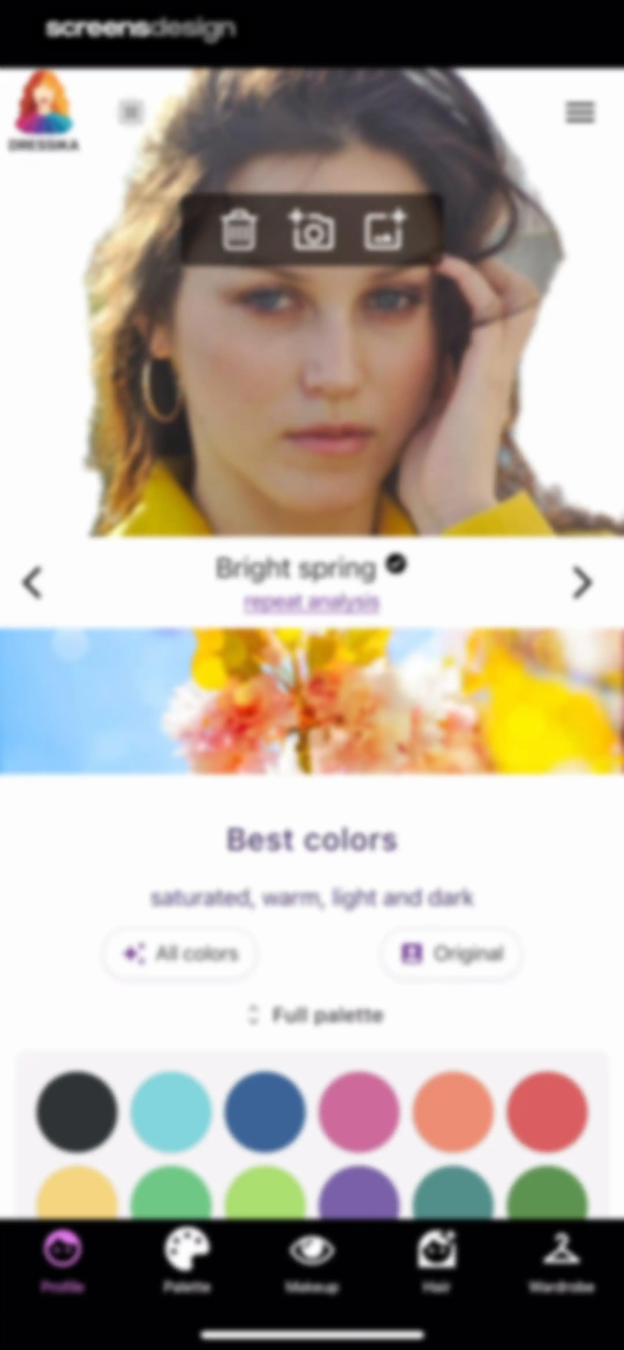 Color Analysis - Dressika screen 30