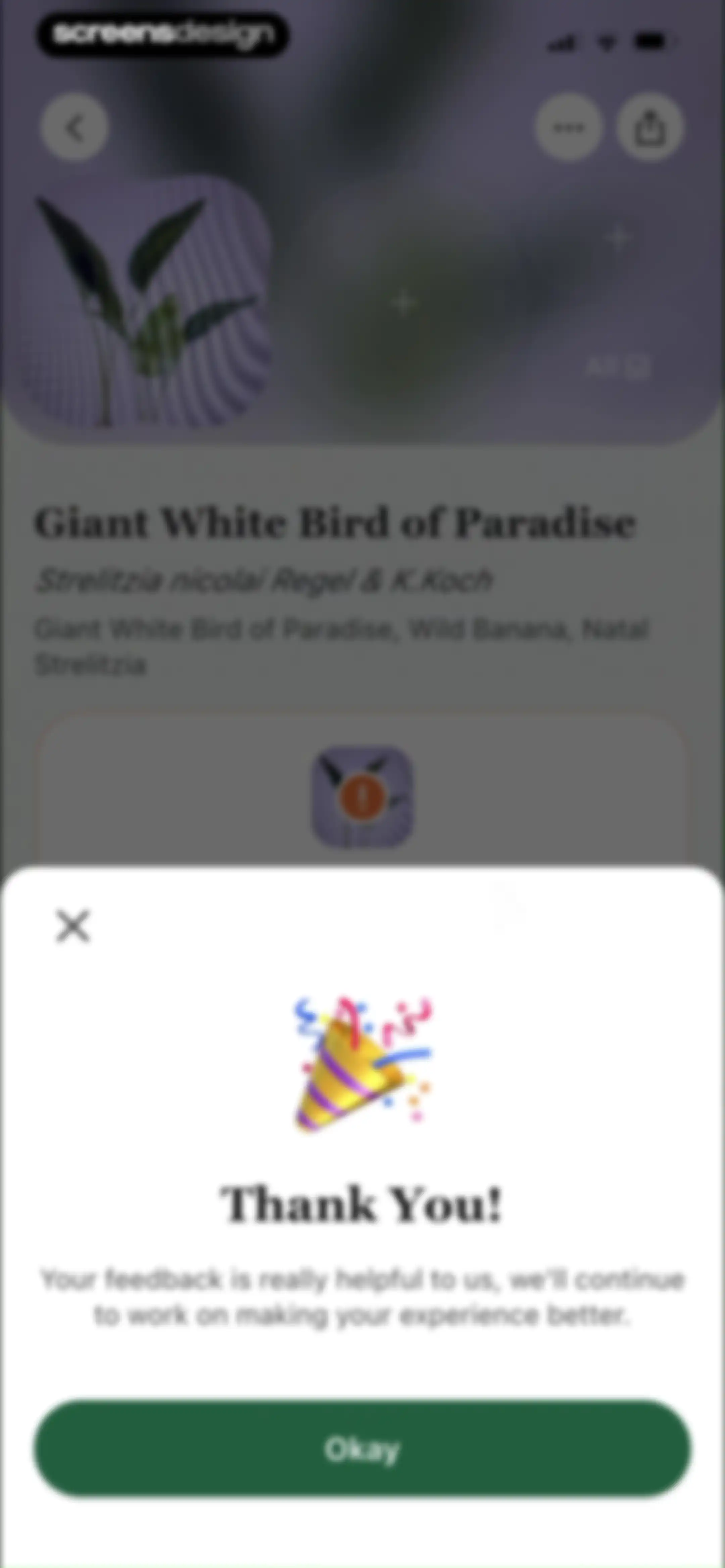 PlantAID:identifier&care guide screen 36