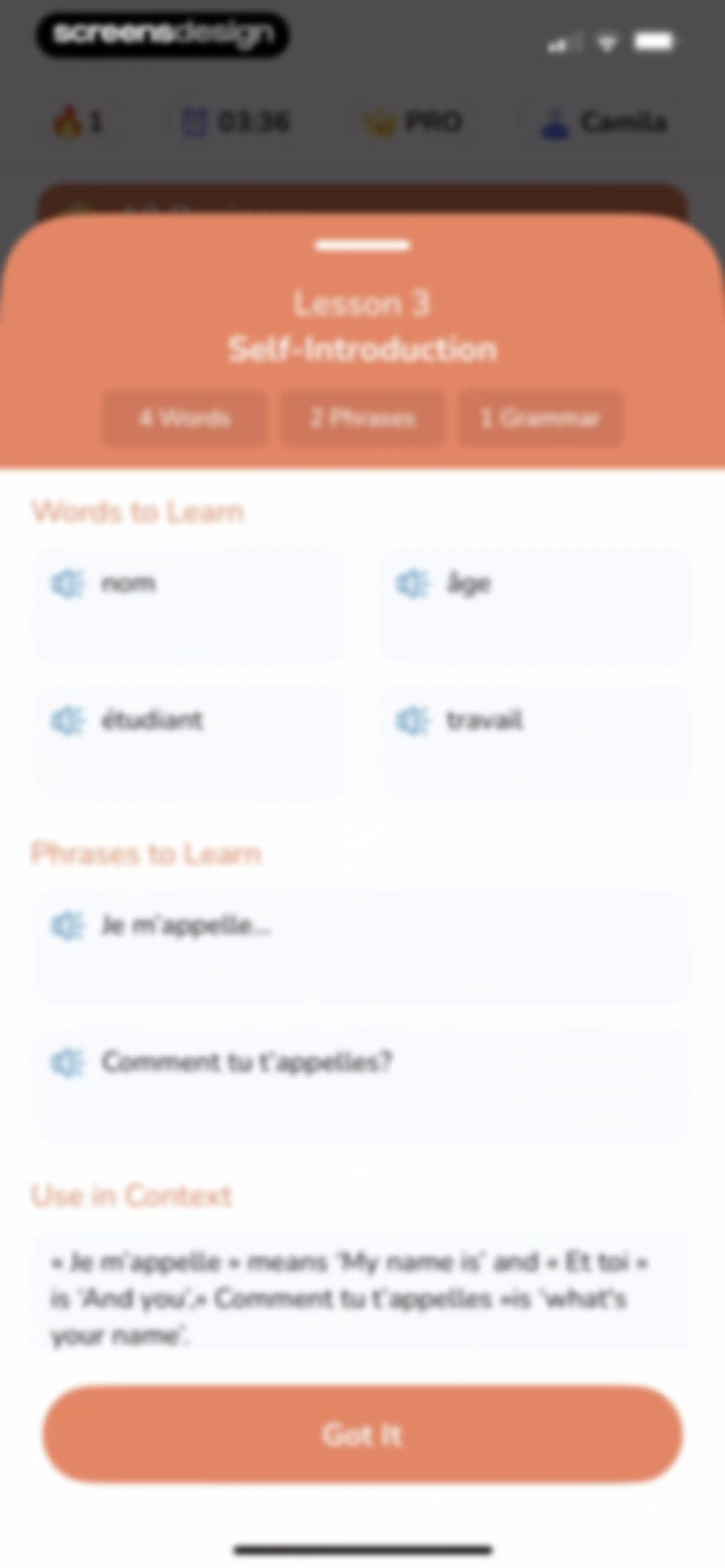 Speak English: Lingo AI screen 43