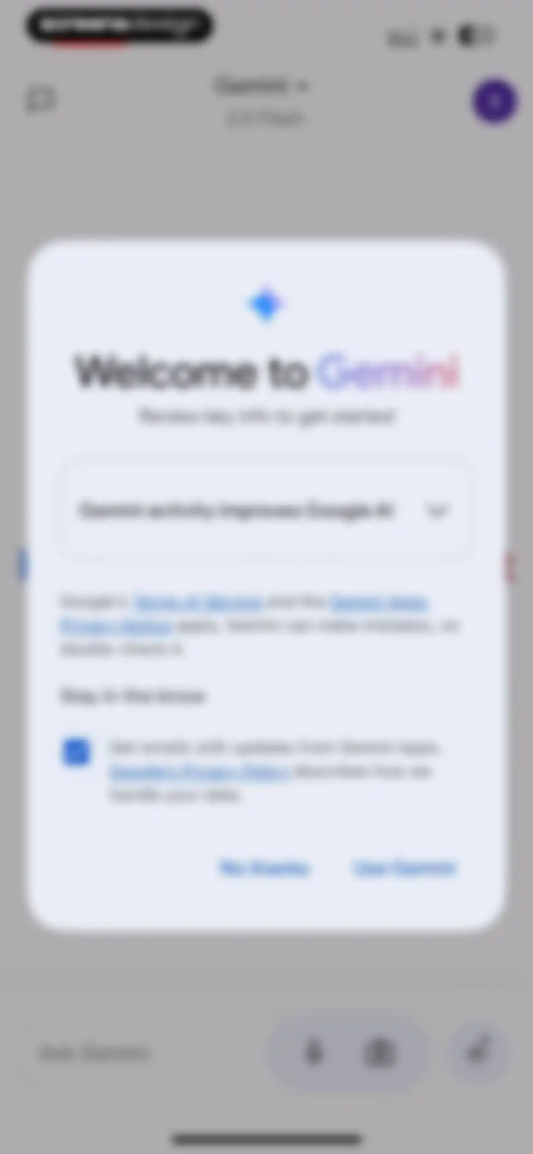 Google Gemini screen 5