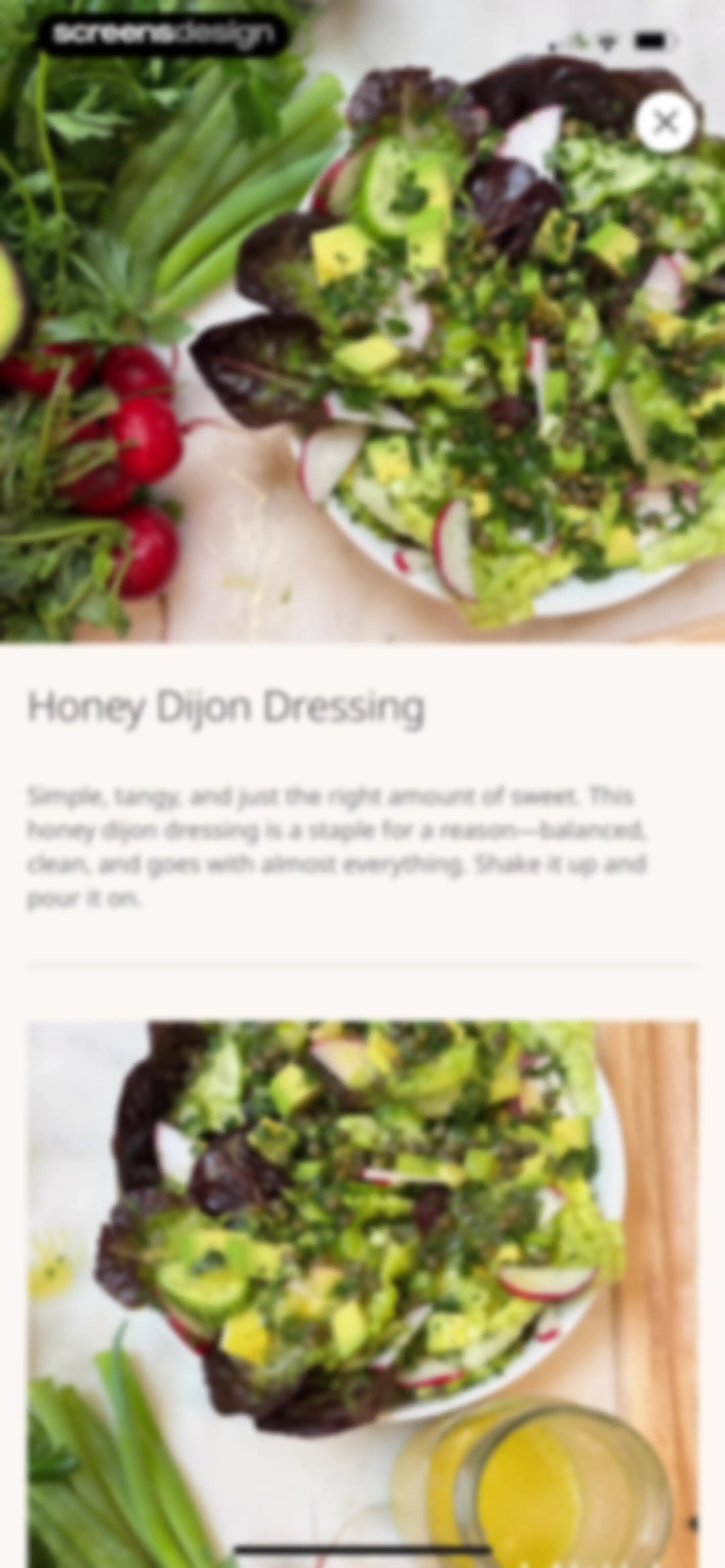 MWH: Fitness + Wellness screen 89