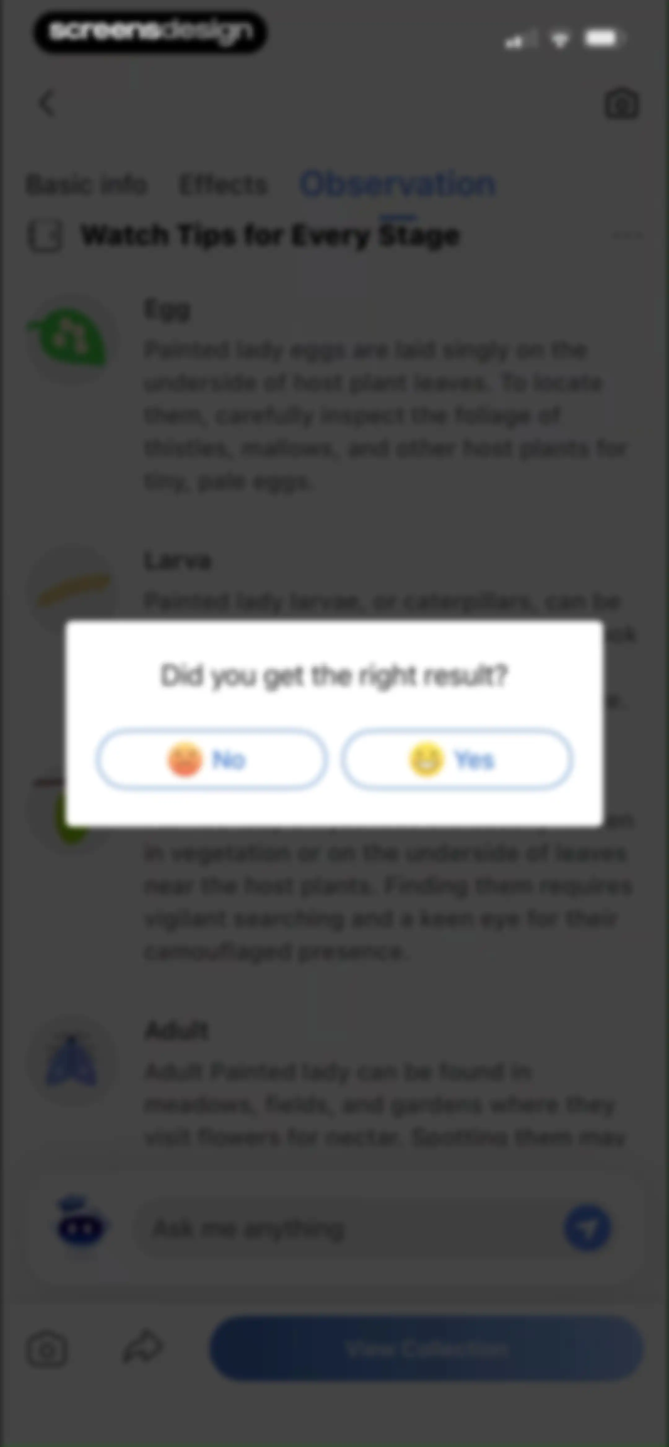 Picture Insect: Bug Identifier screen 62
