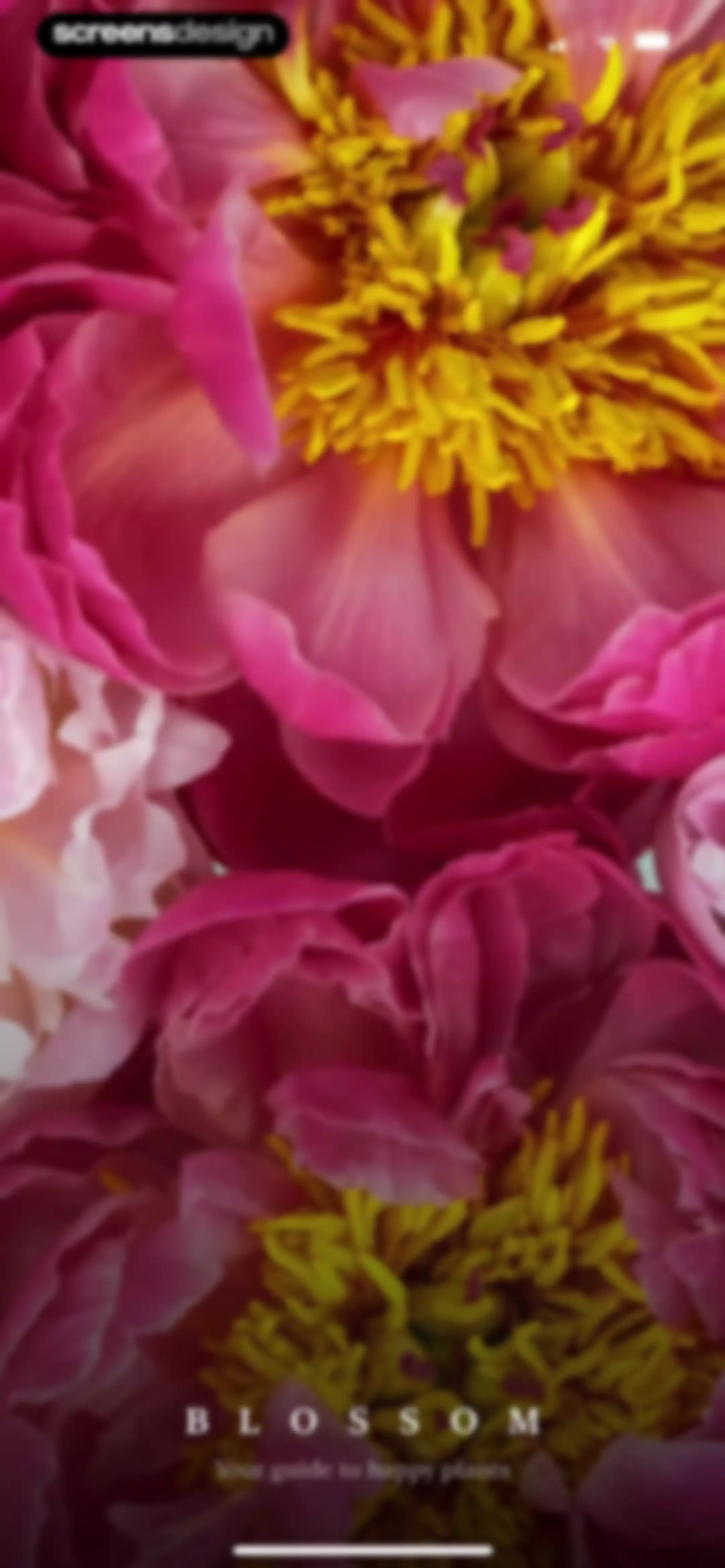 Blossom - Plant Care Guide screen 3
