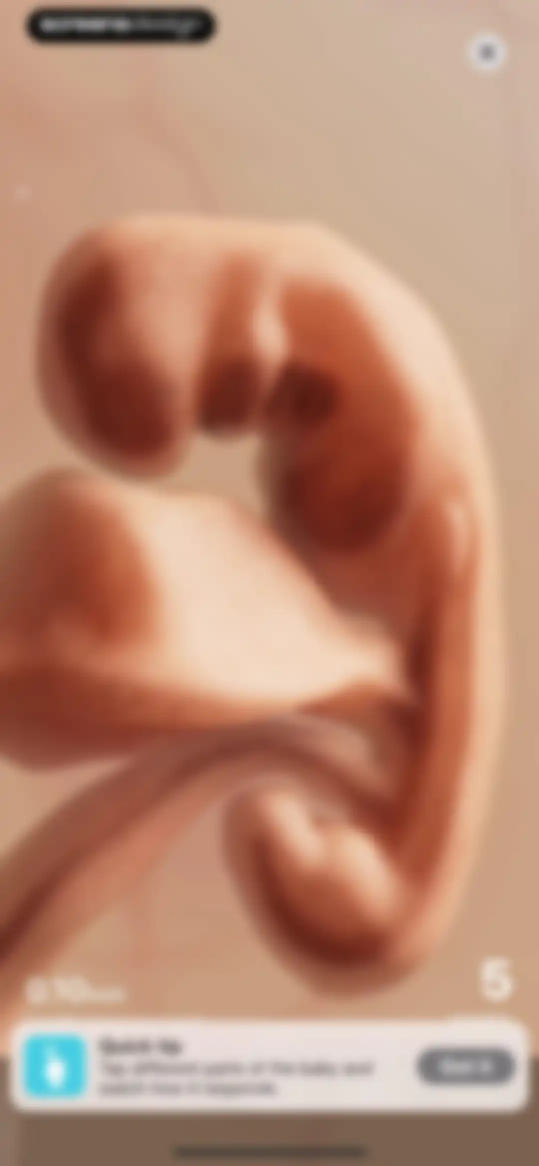 Pregnancy + | Tracker App screen 12