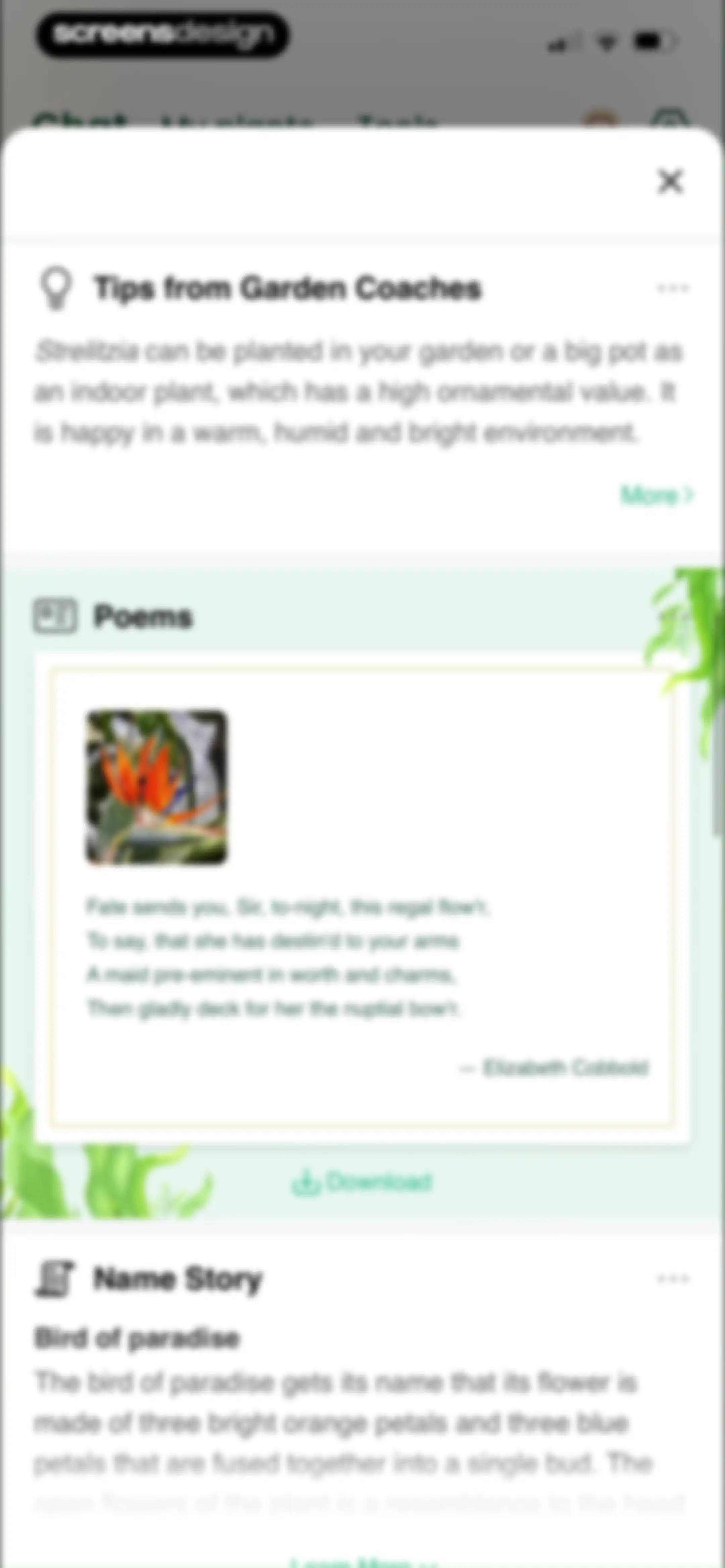 PlantAI: Identifier & Diagnose screen 27