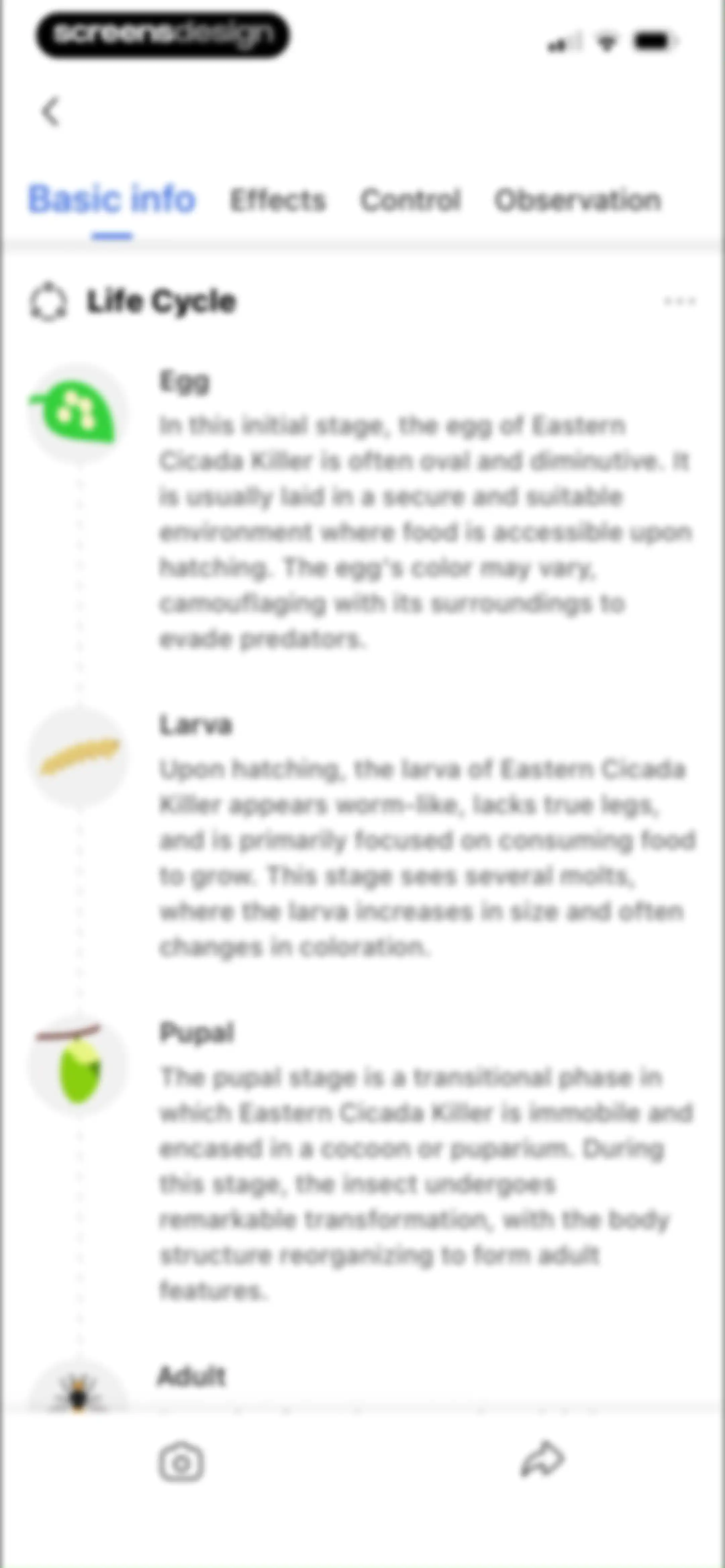 Picture Insect: Bug Identifier screen 38