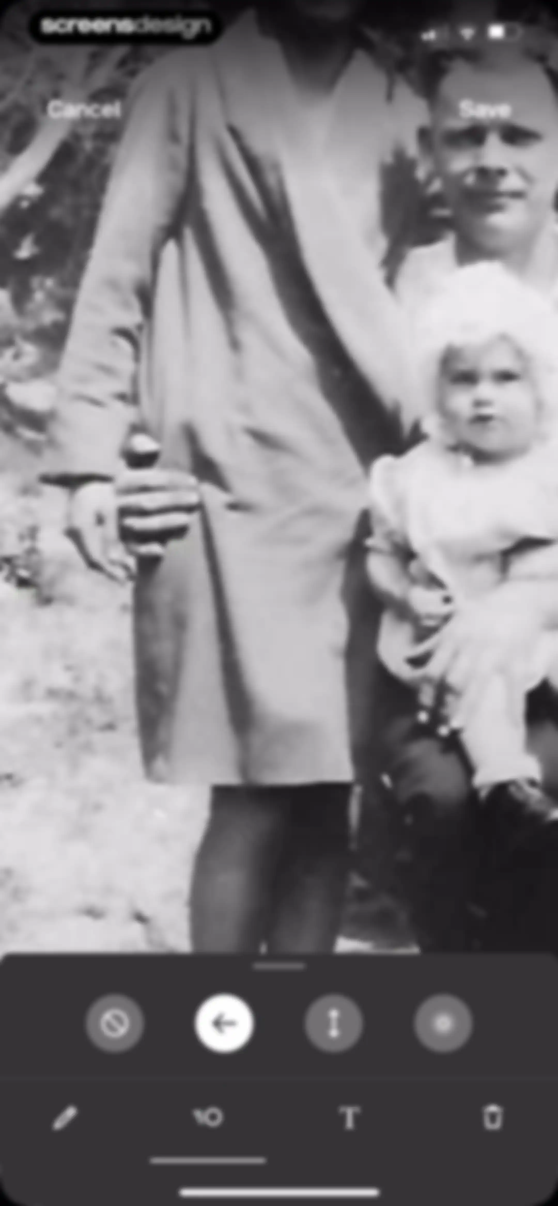 Ancestry: Family History & DNA screen 238