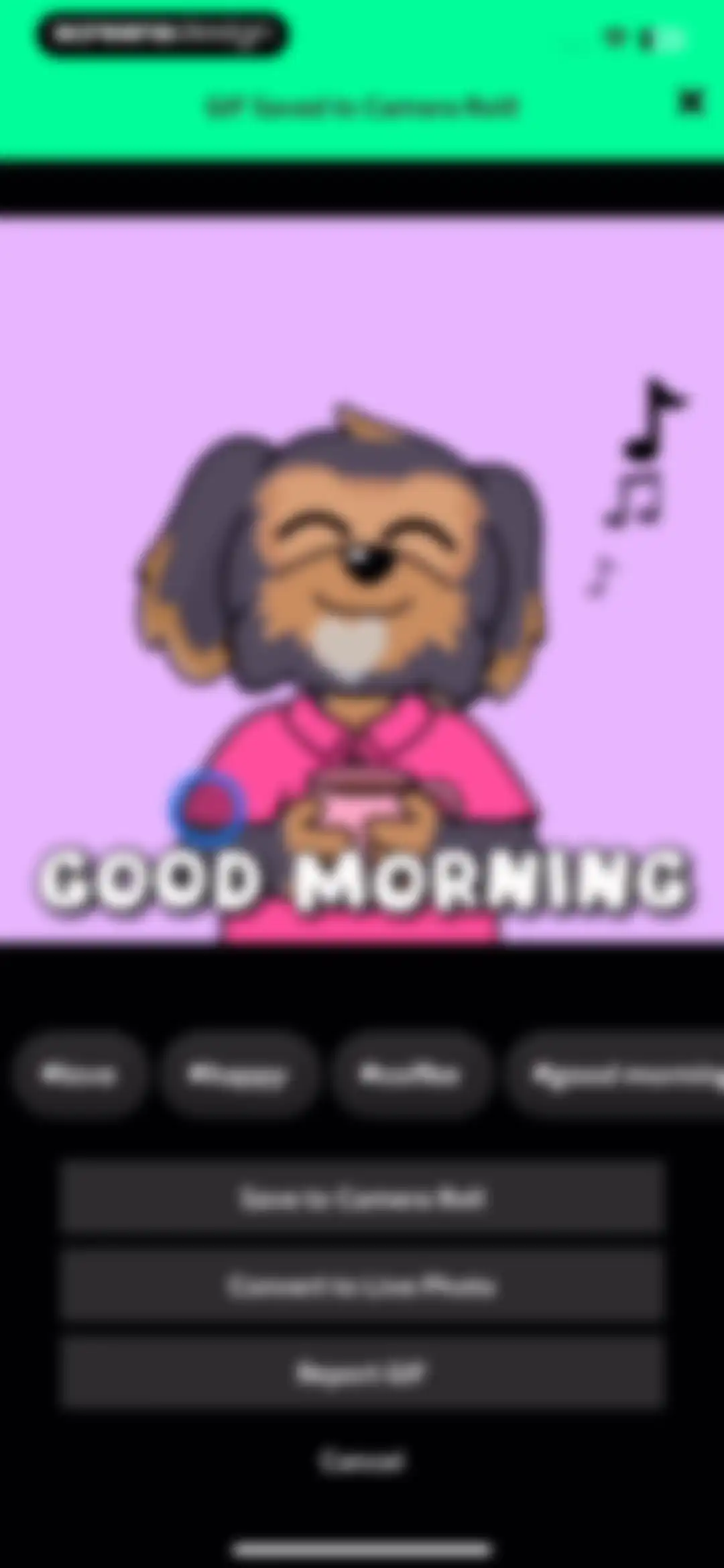 GIPHY: The GIF Search Engine screen 20