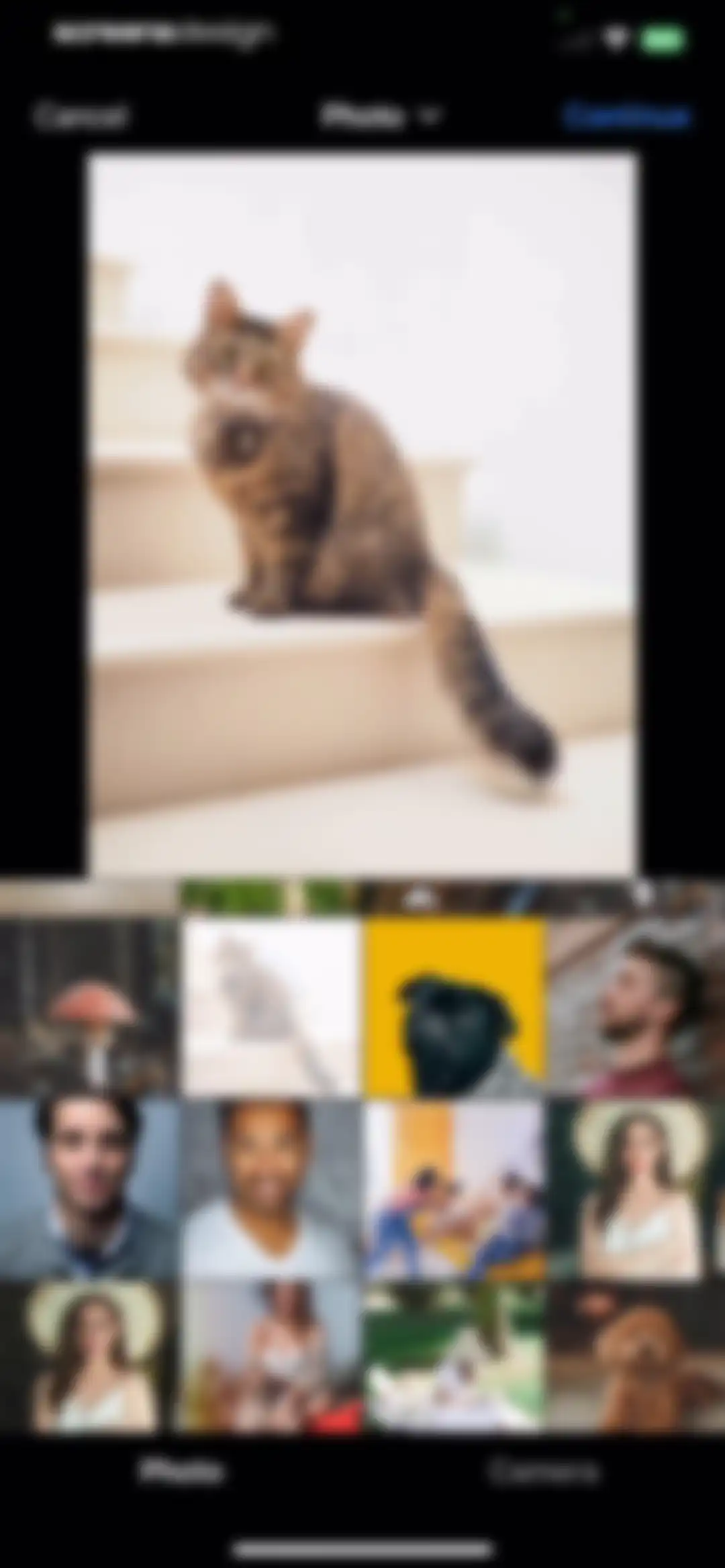 My Talking Animal & Pet App screen 10