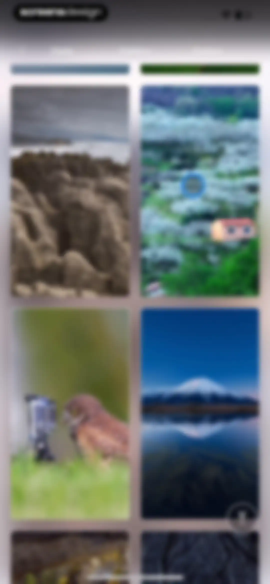 Microsoft Bing Search screen 260