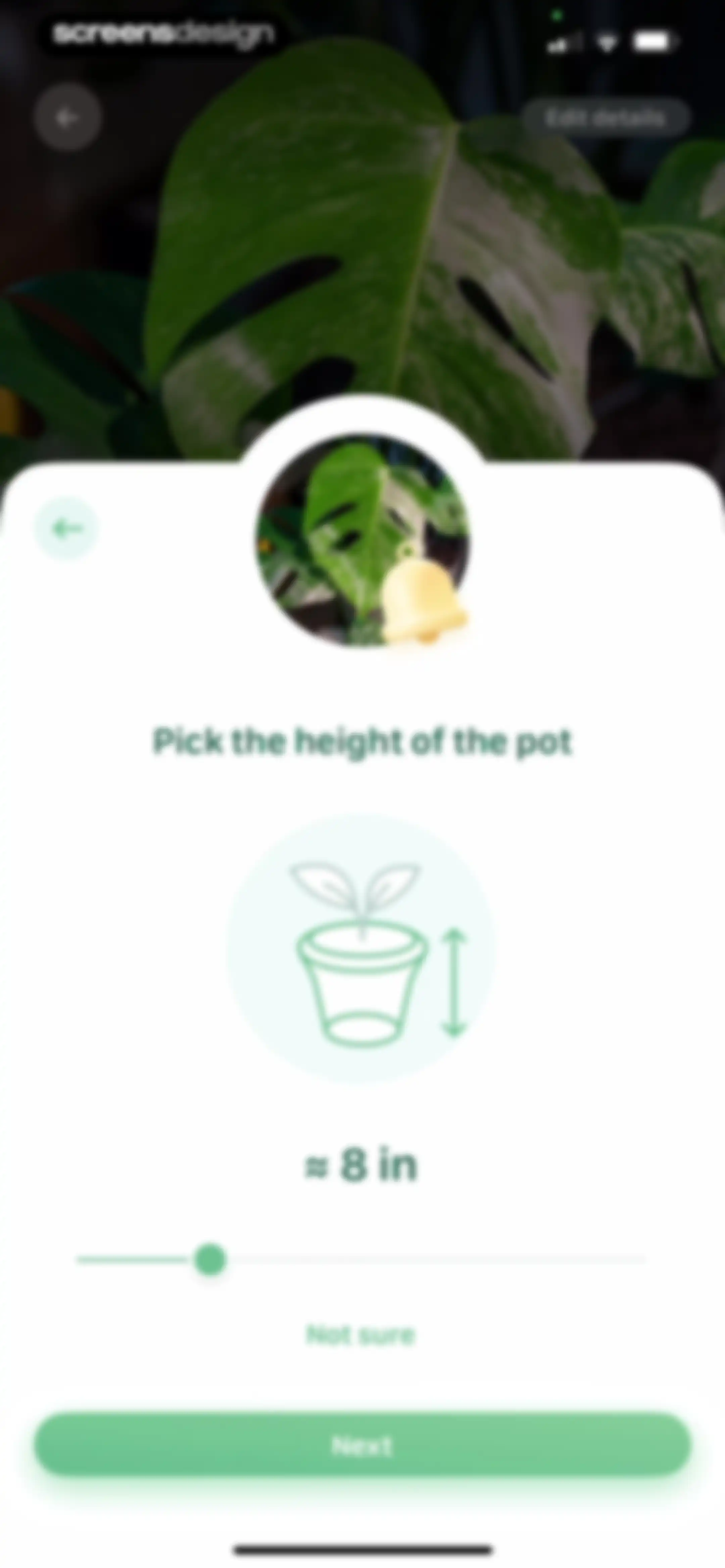 Blossom - Plant Care Guide screen 127