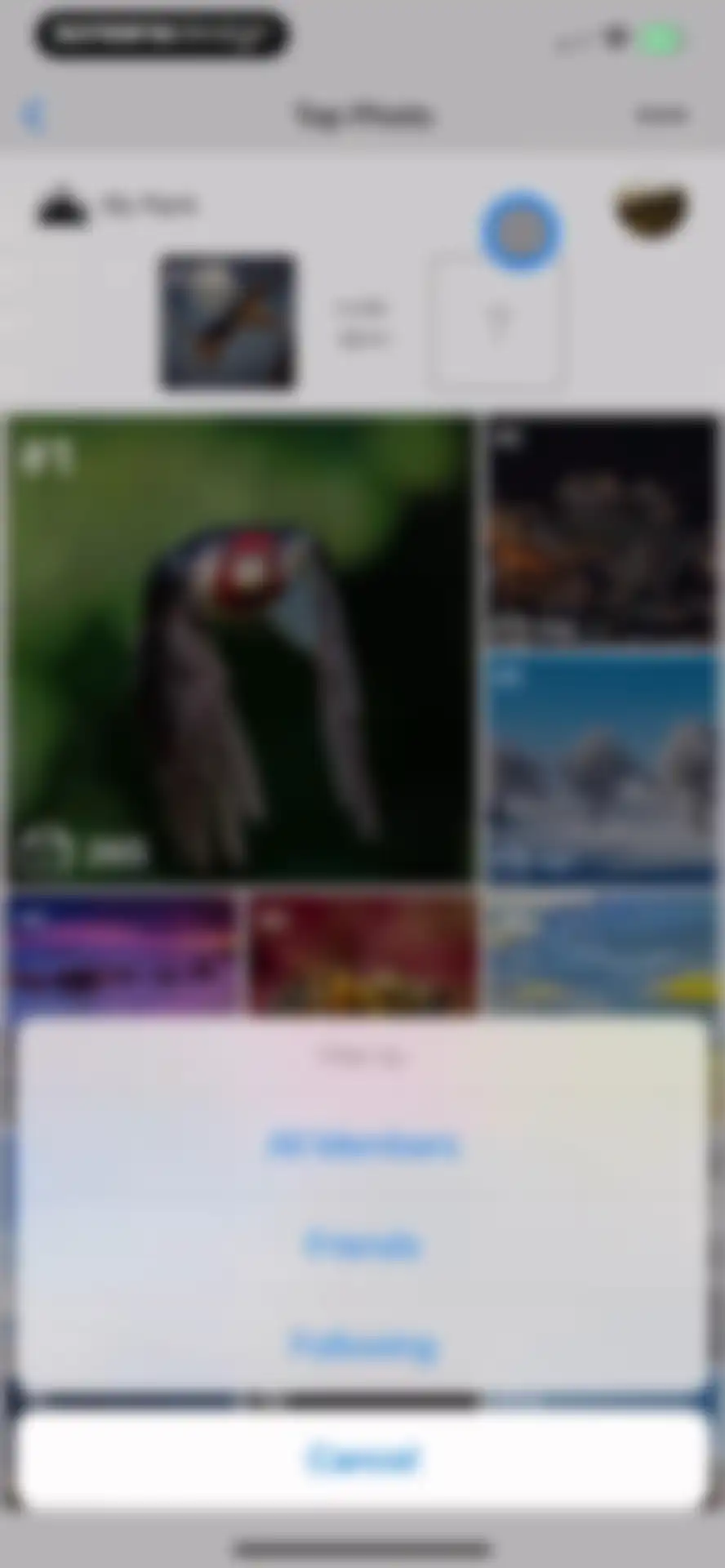 GuruShots: Photography Game screen 21