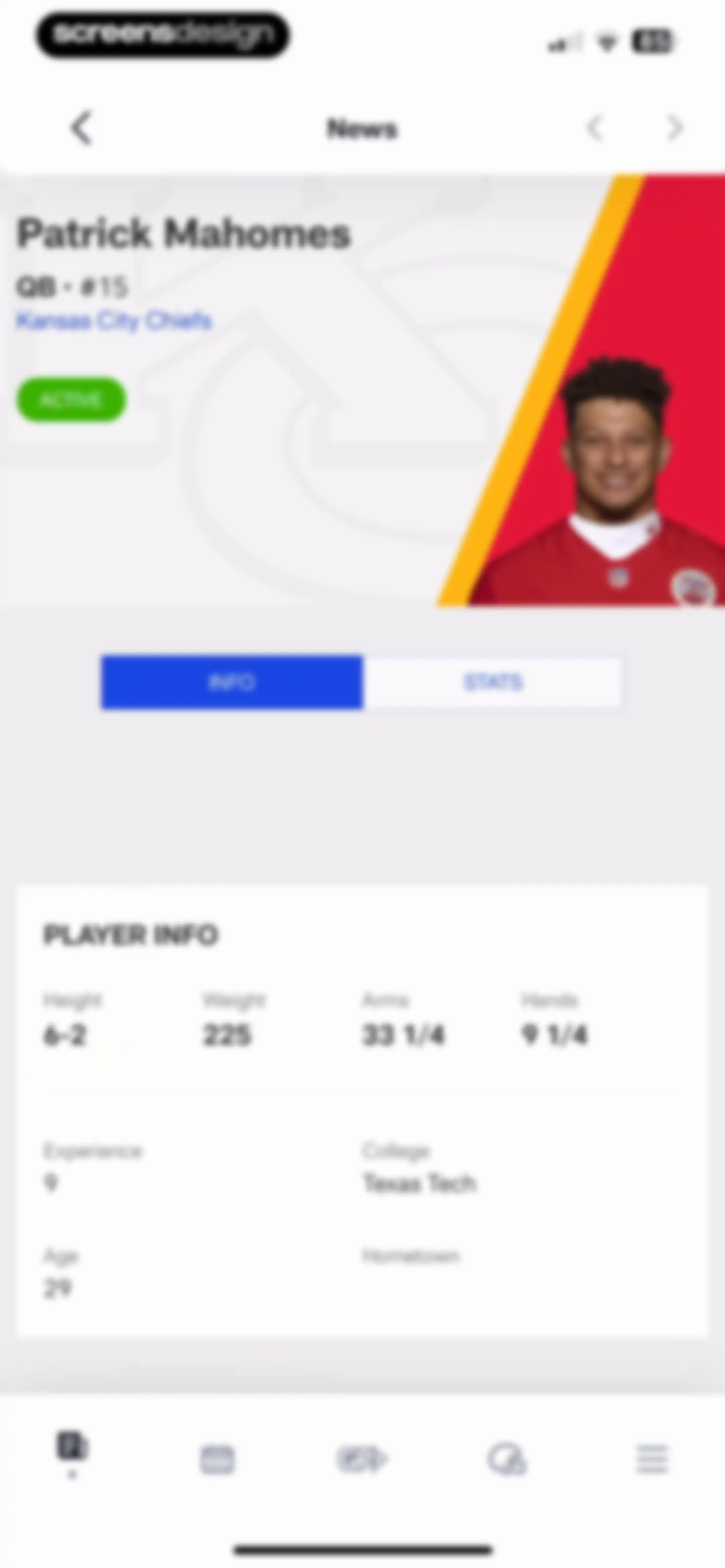 NFL screen 44