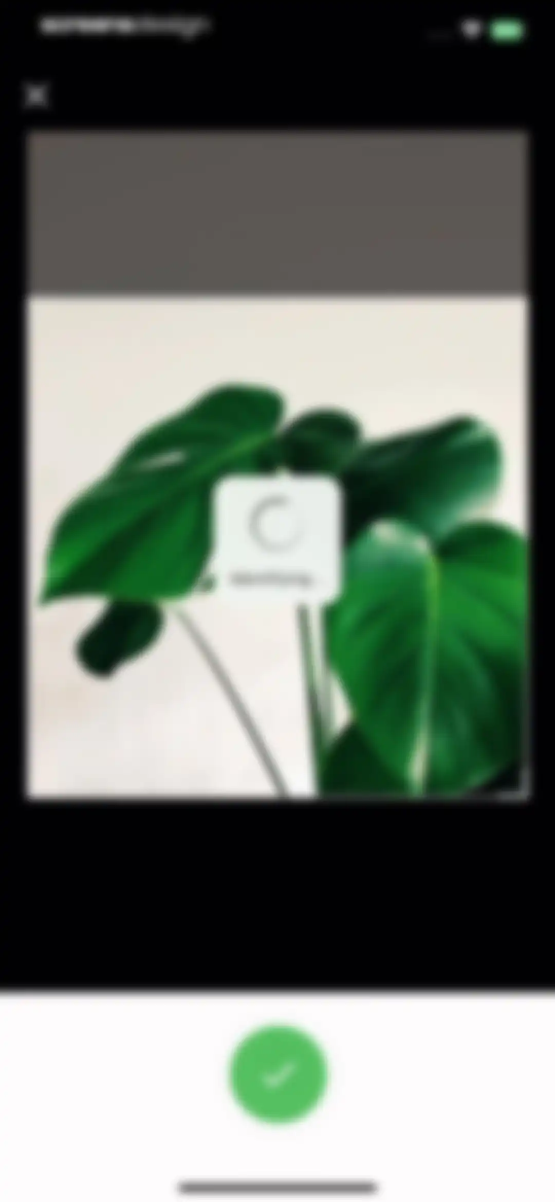 Plant Identification ++ screen 8