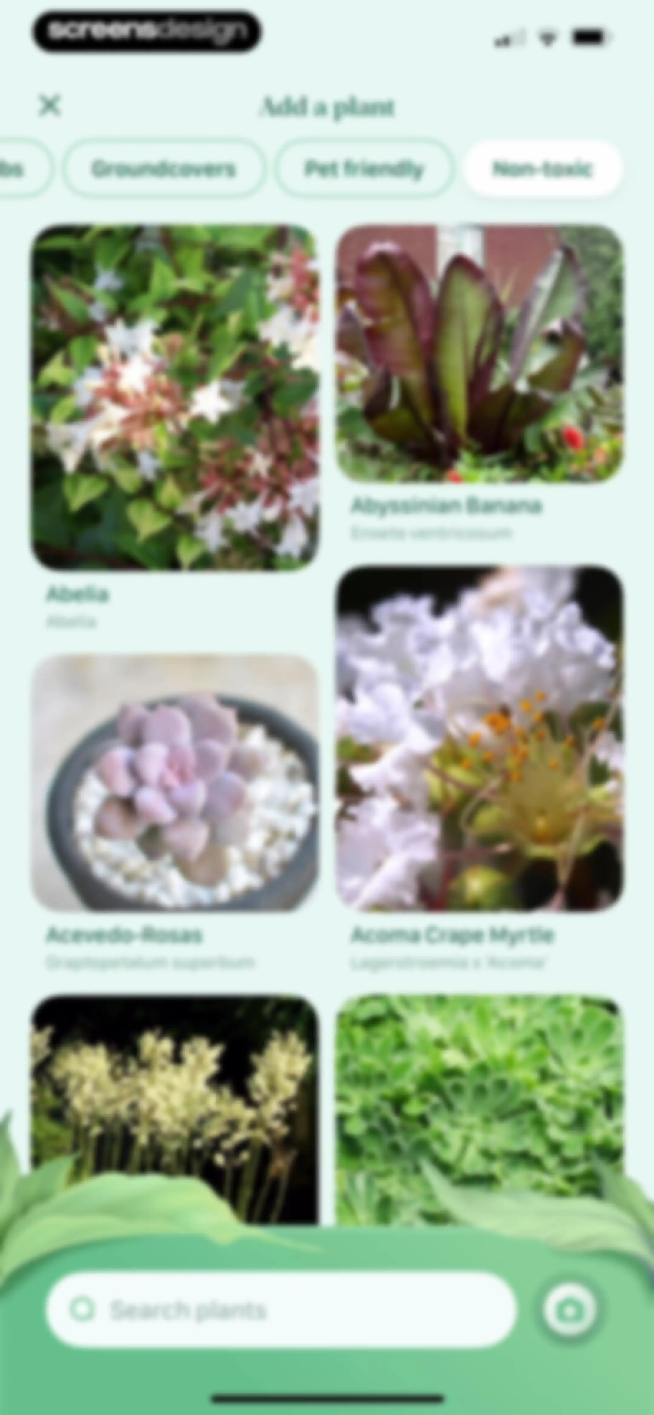 Blossom - Plant Care Guide screen 32