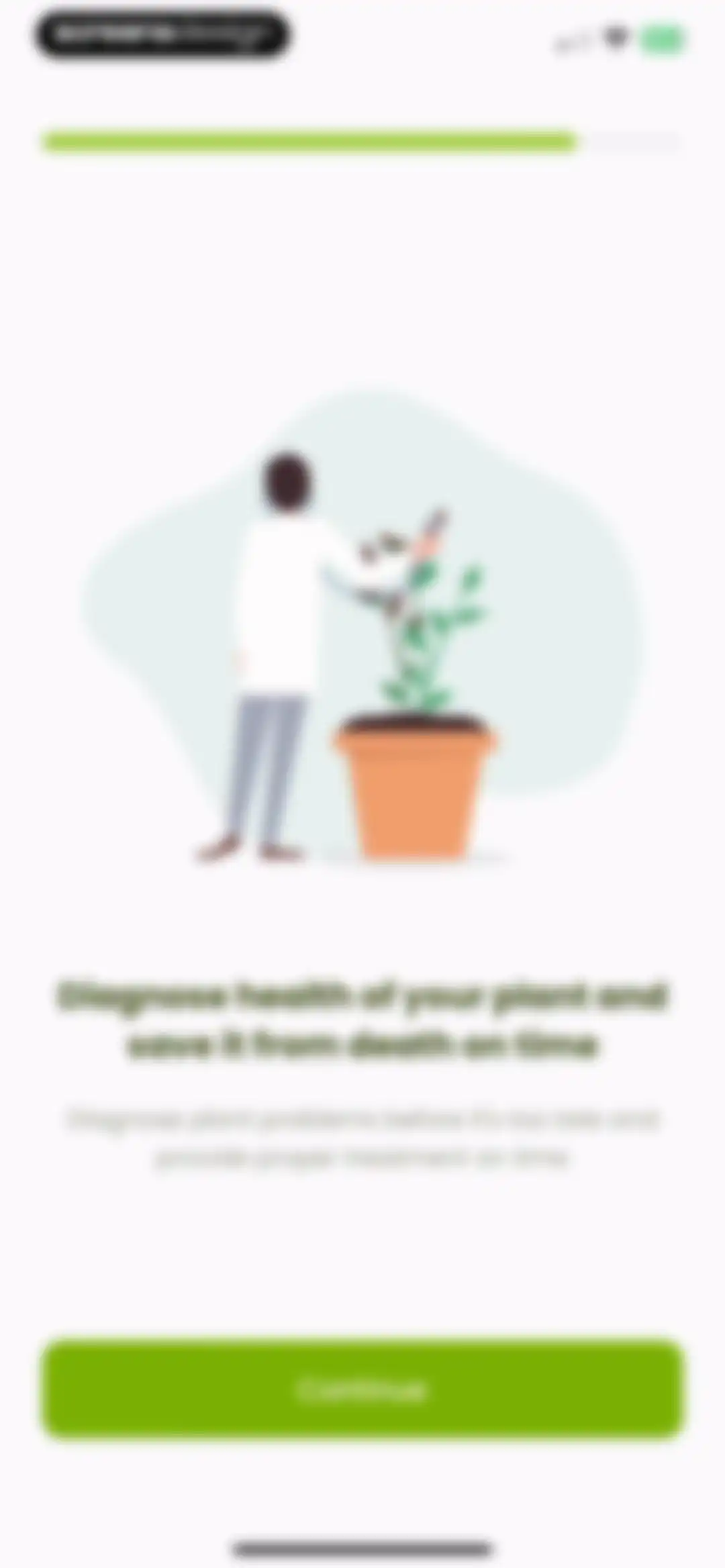 Plant Identifier & Care: Ficus screen 7