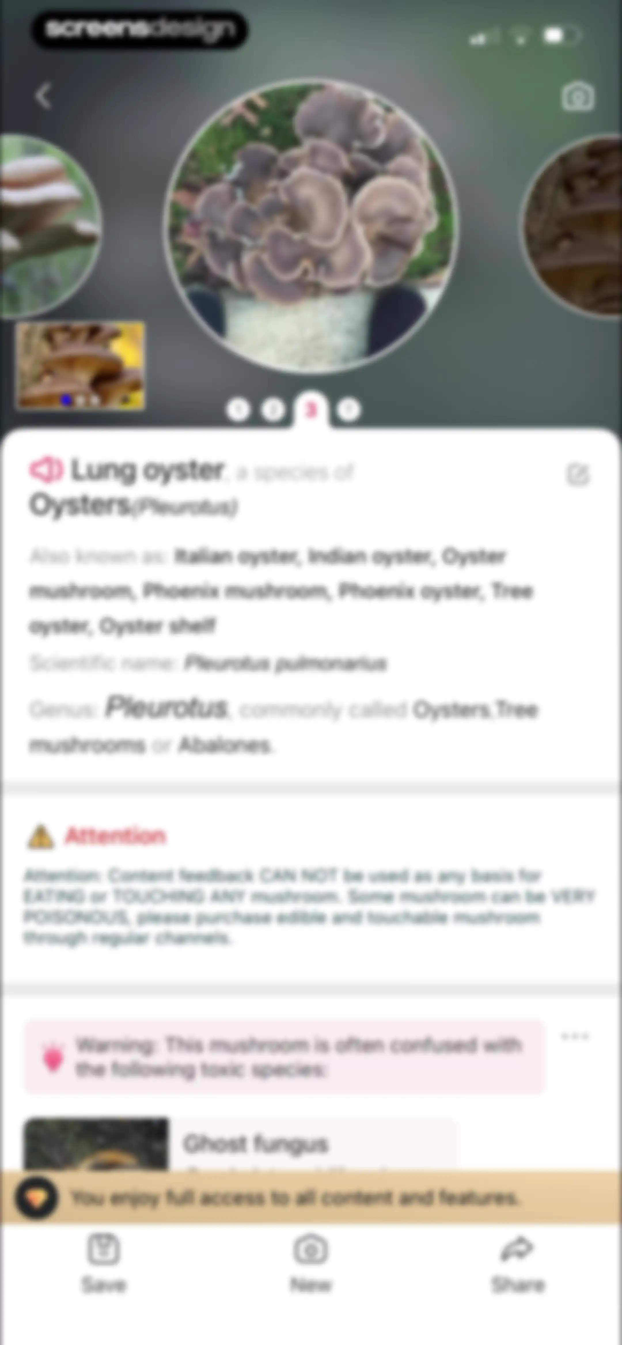 Picture Mushroom: Identifier screen 80