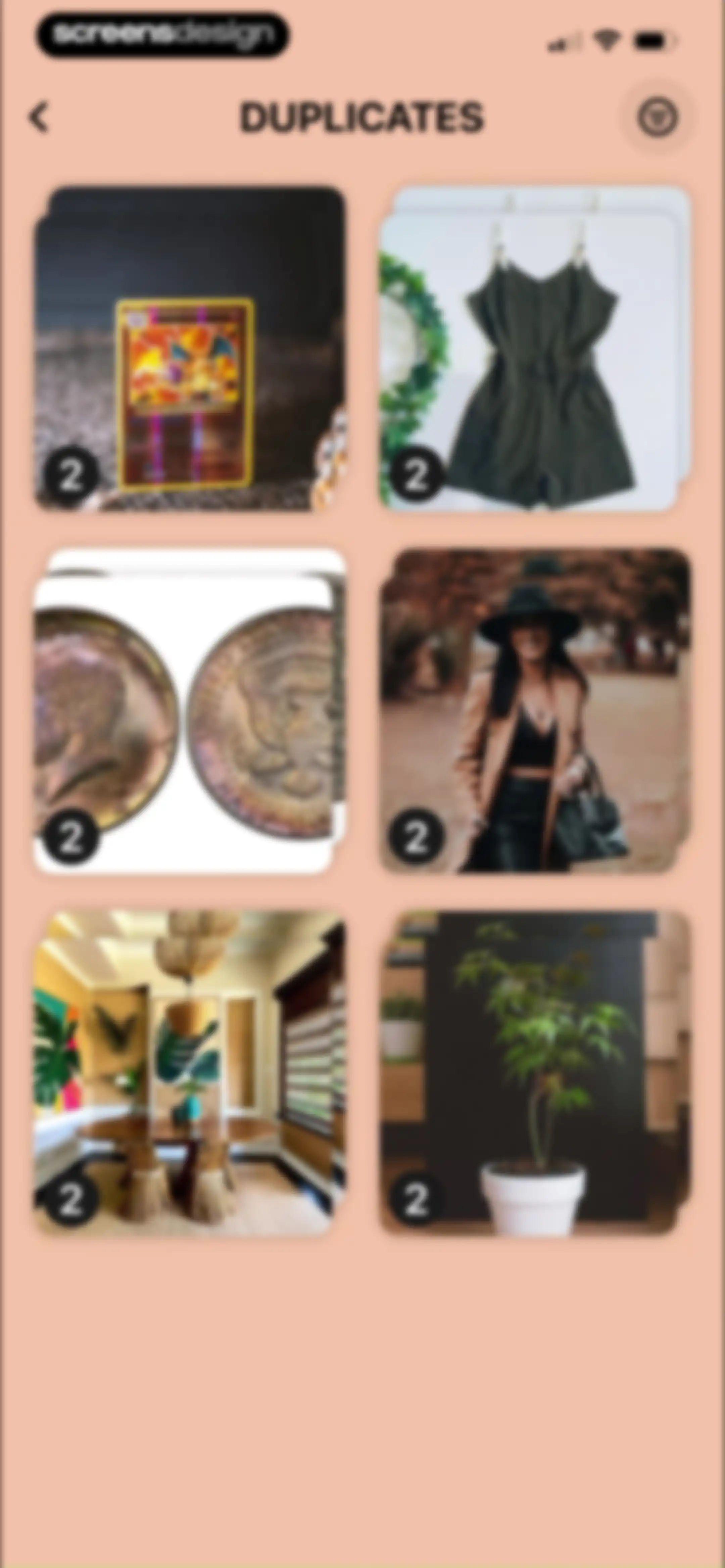 Swipewipe: Photo Cleaner screen 47