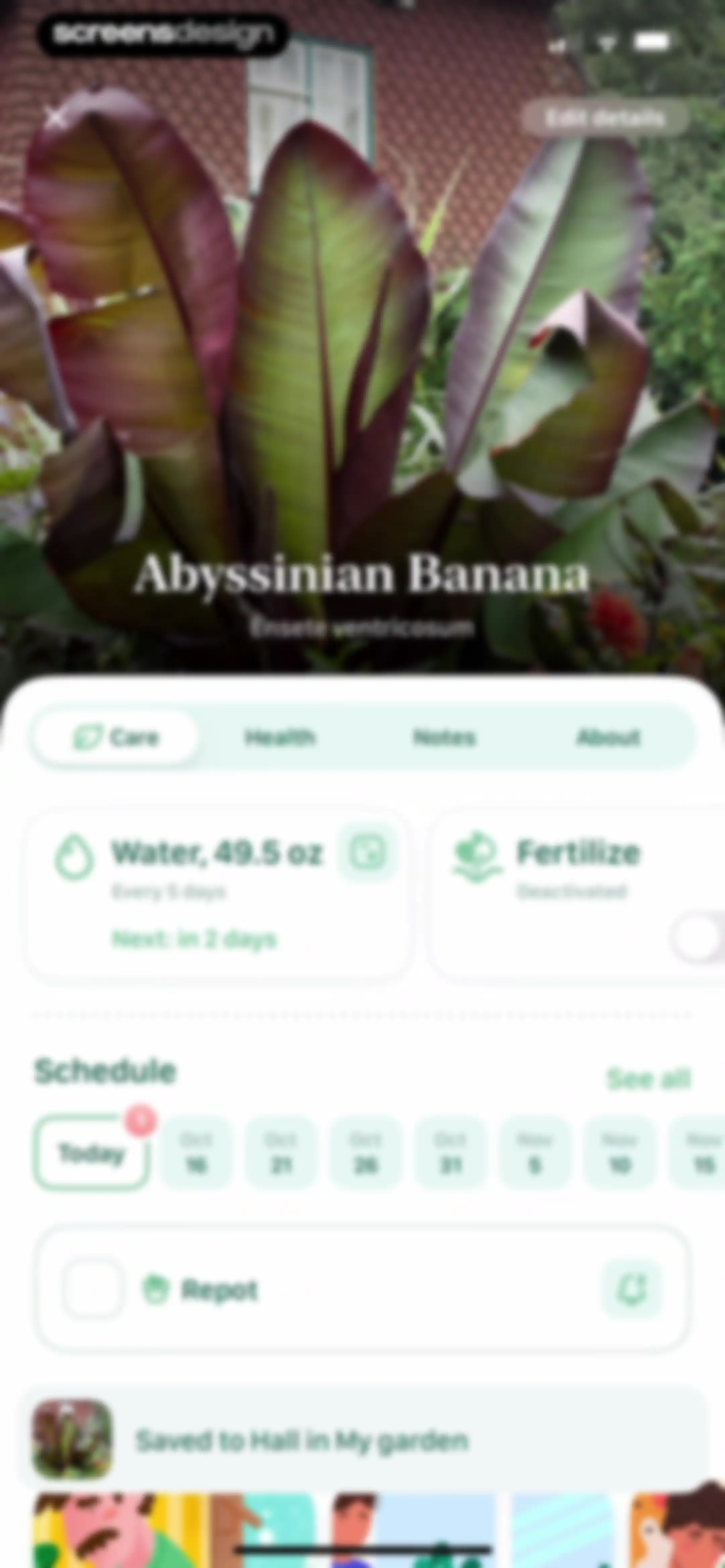 Blossom - Plant Care Guide screen 47