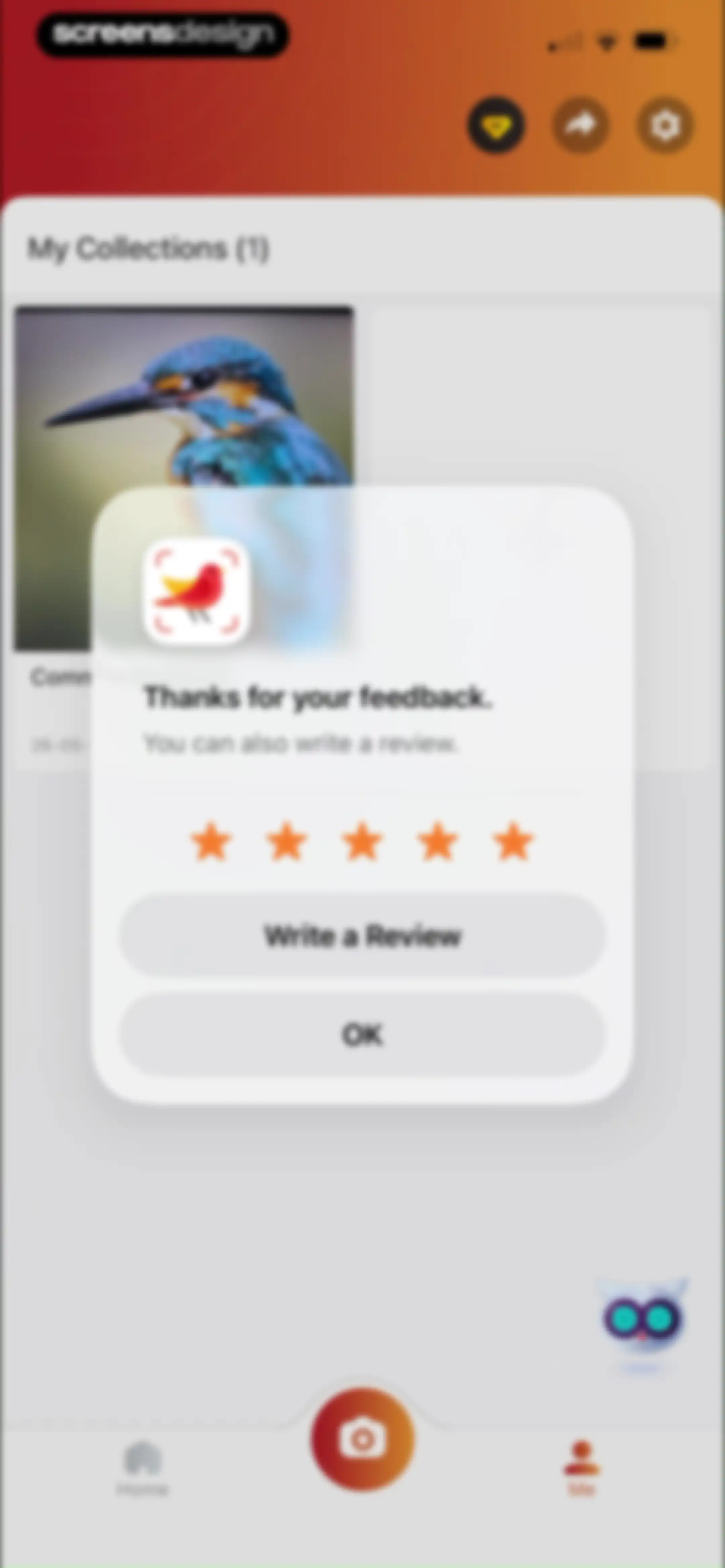 Picture Bird: Bird identifier screen 45